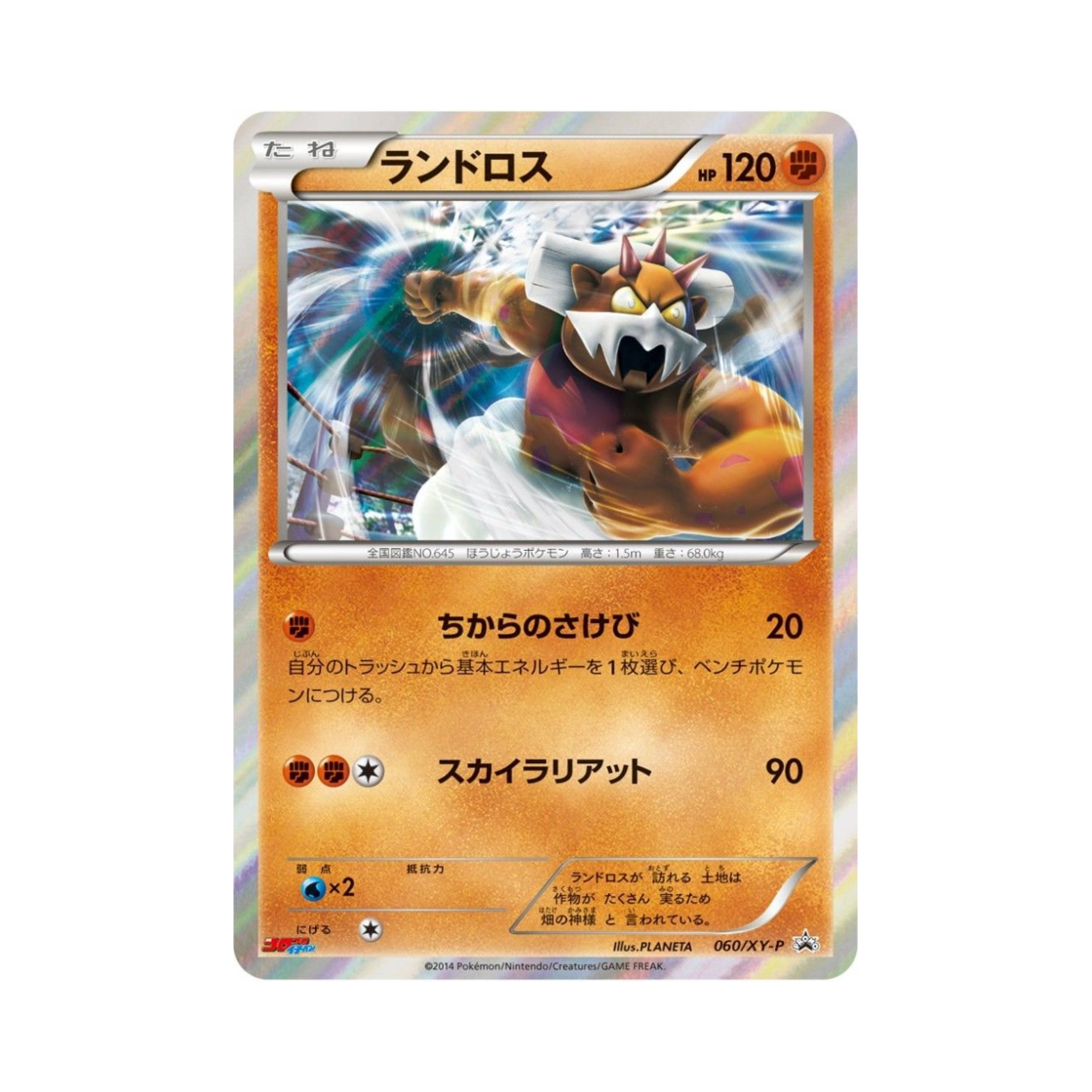 포켓몬 TCG 랜드로스 P XY 프로모 카드 (일어판)(Pokemon TCG Landorus P XY Promos (Japanese Ver.)) - 1