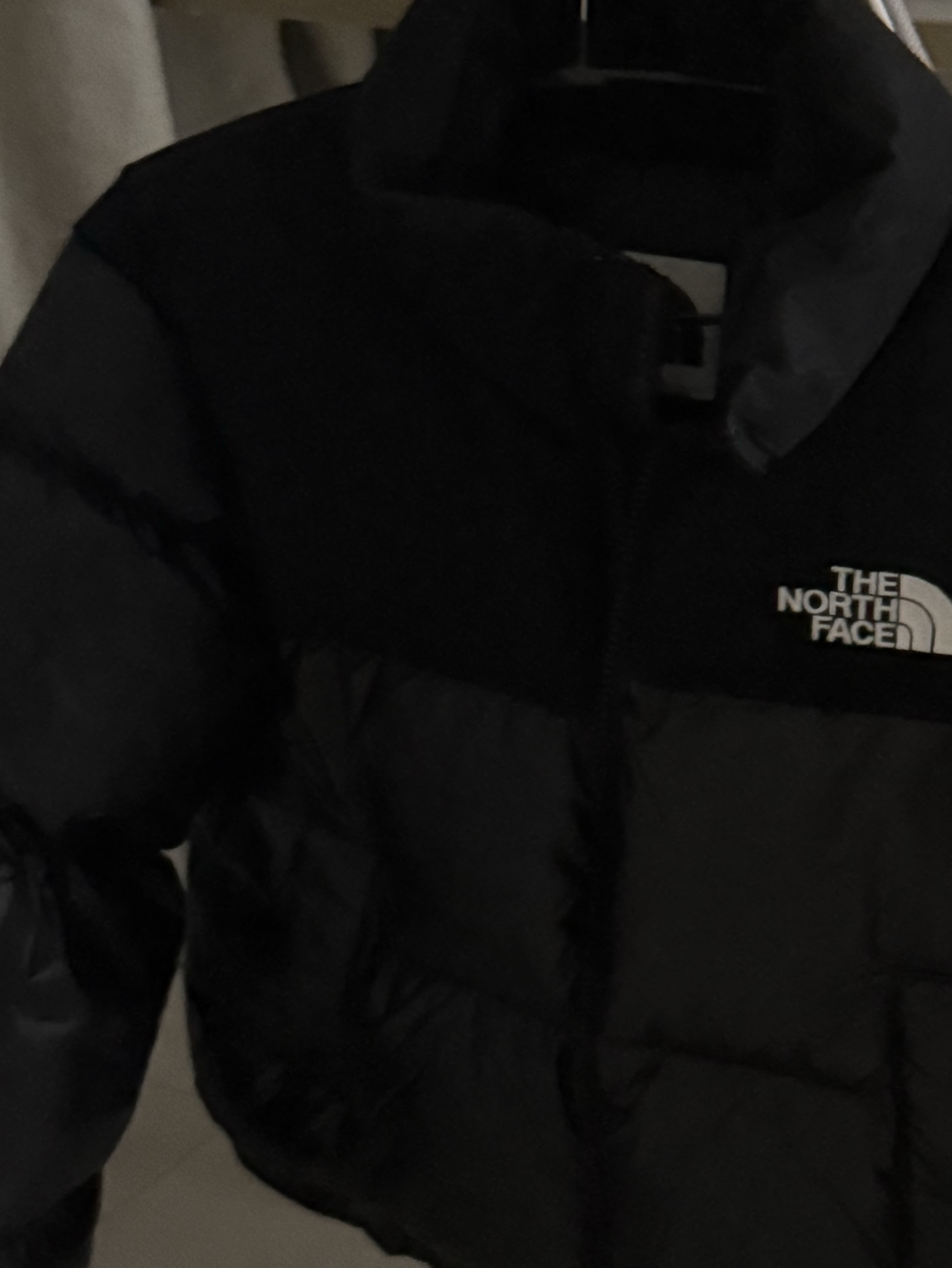 (W) The North Face White Label Novelty Nuptse Down Jacket Black 착용 스타일
