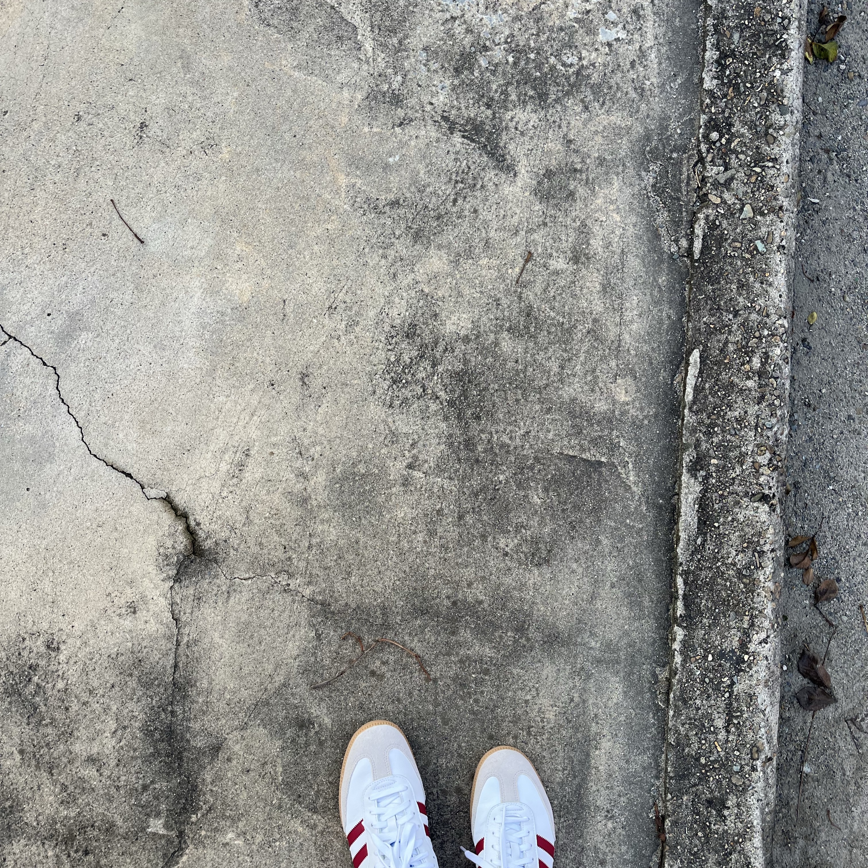 Adidas Samba OG Cloud White Collegiate Burgundy 착용 스타일