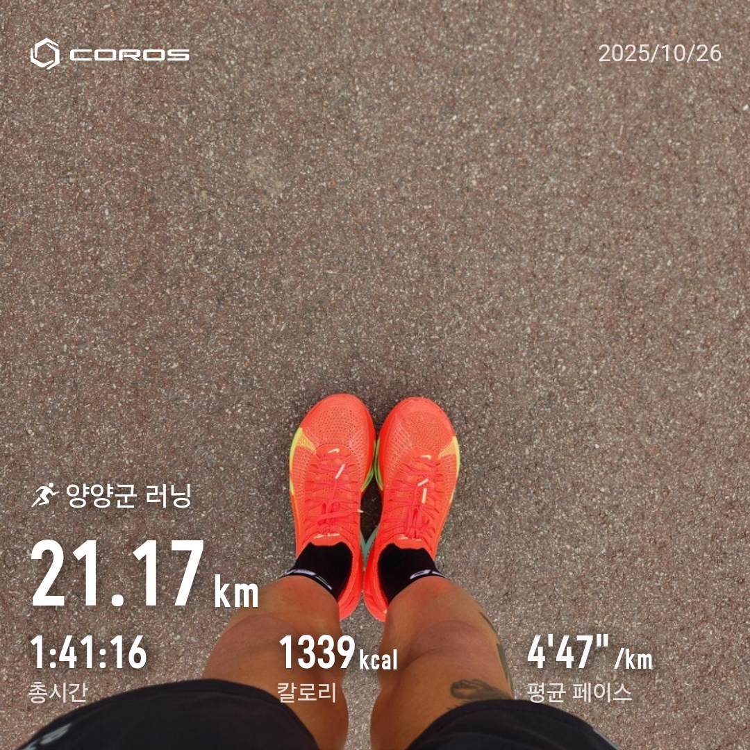 Nike Air Zoom Alphafly Next% 3 Bright Crimson Lime Blast, CEP Core Run Mid Cut Socks V5 Black 착용 스타일