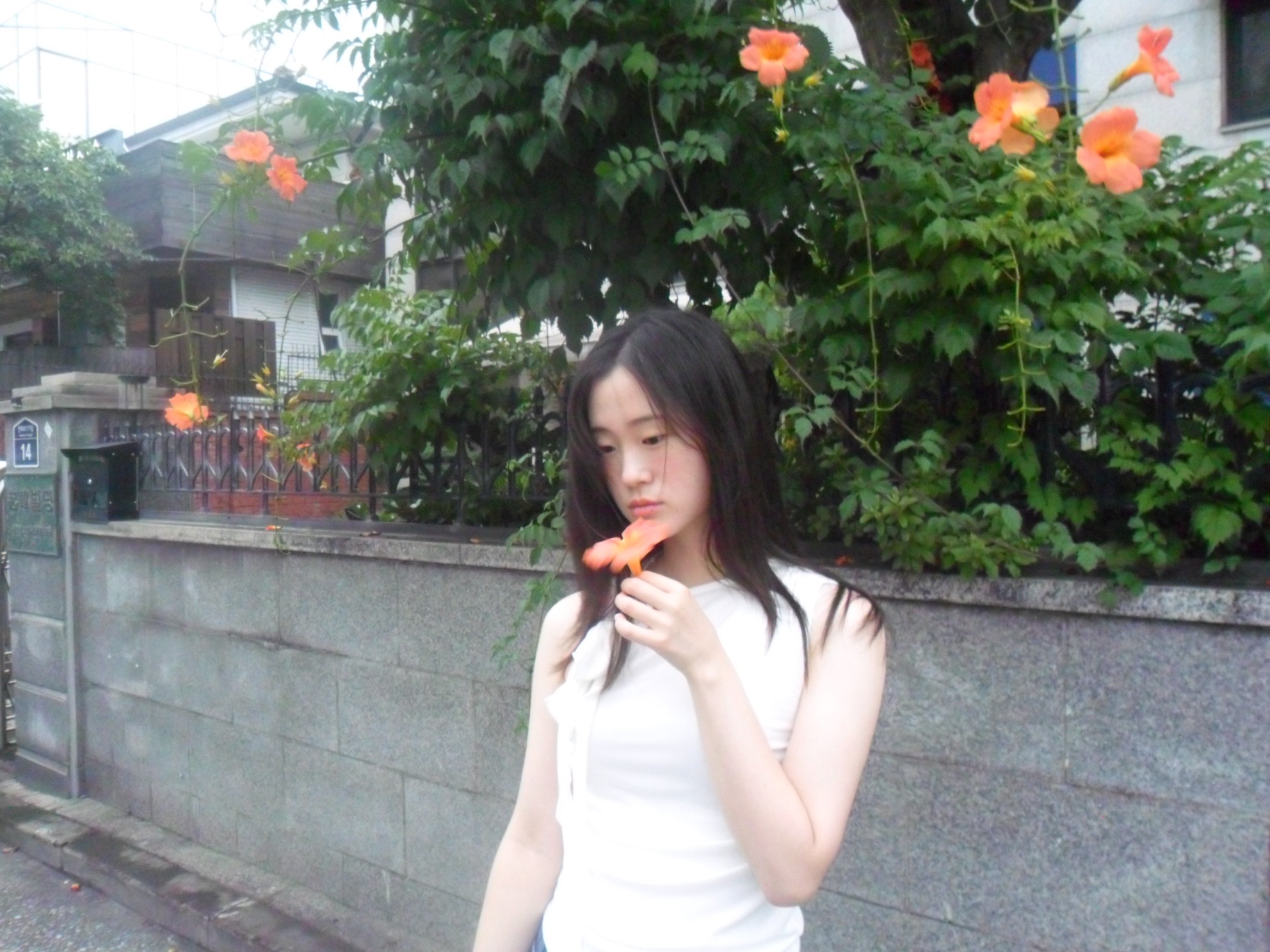 KREAM 스타일 - 3