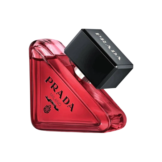 SHOP | KREAM KREAM | 한정판 거래의 FLEX