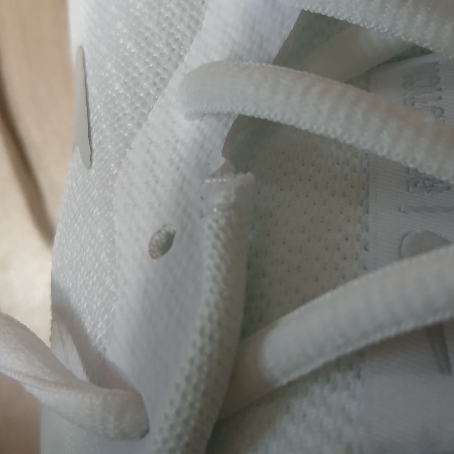 Nike Revolution 7 White 착용 스타일 - 1
