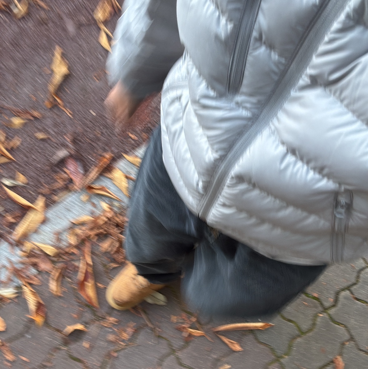 Musinsa Standard City Leisure Hooded Light Down Jacket Light Grey, Nike Air Force 1 '07 WB Flax 착용 스타일