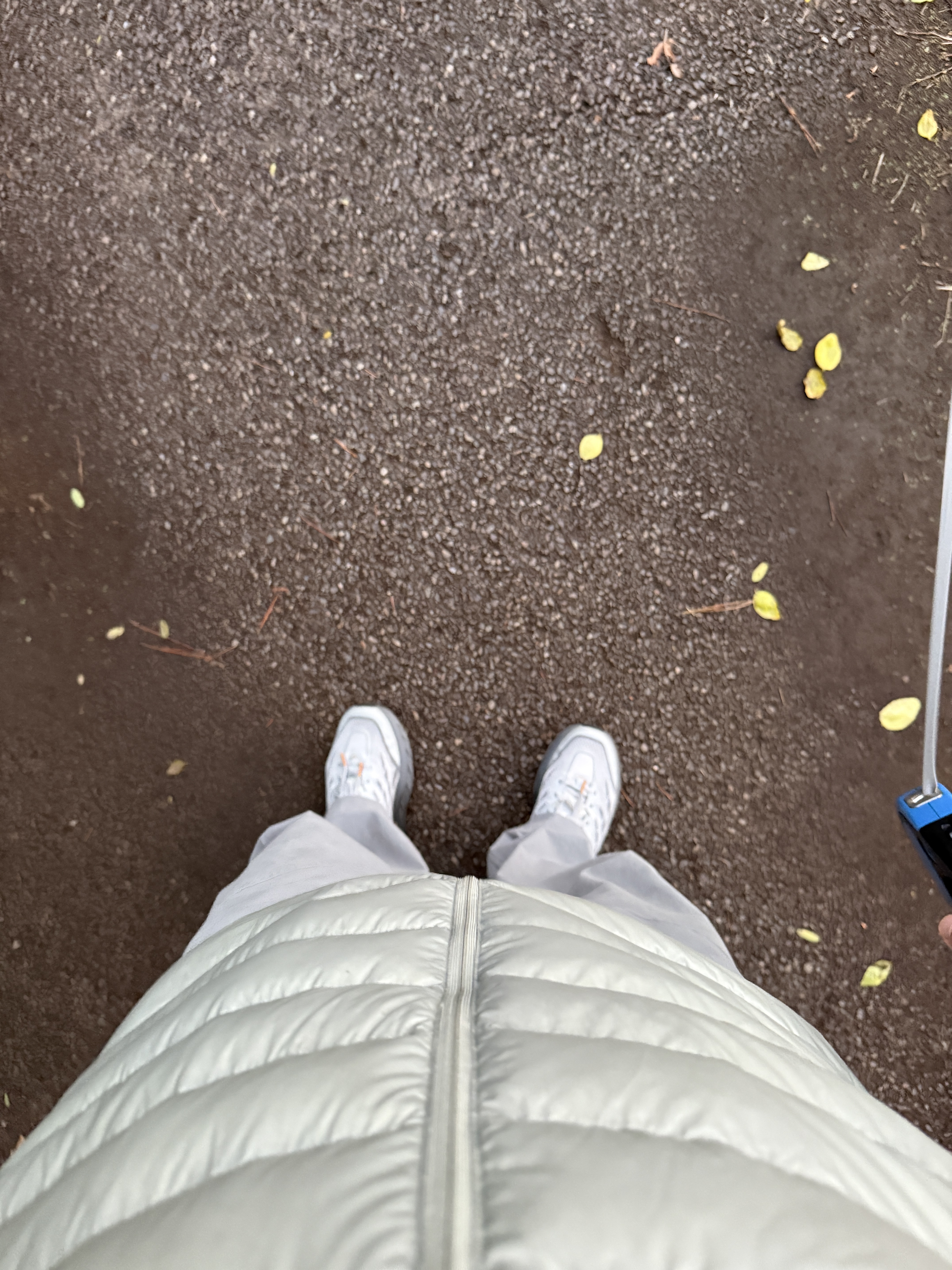 Arc'teryx Cerium Hoody Habitat 착용 스타일