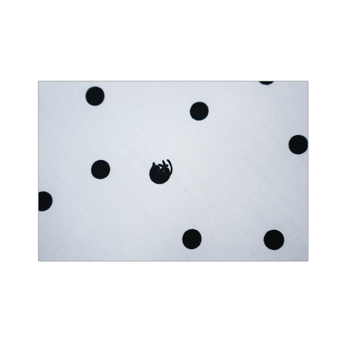 리히트 캣 도트 플레어 셔츠 화이트(Reheat Cat Dot Flare Shirt White) - 3