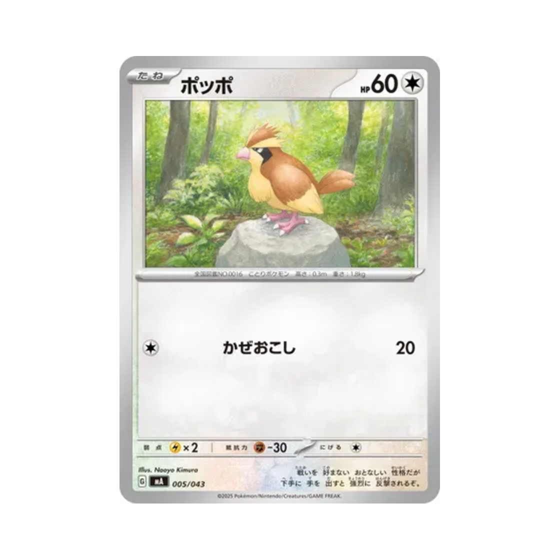 포켓몬 TCG 구구 메가 프리미엄 트레이너 박스 (일어판)(Pokemon TCG Pidgey Mega Premium Trainer Box (Japanese Ver.)) - 1