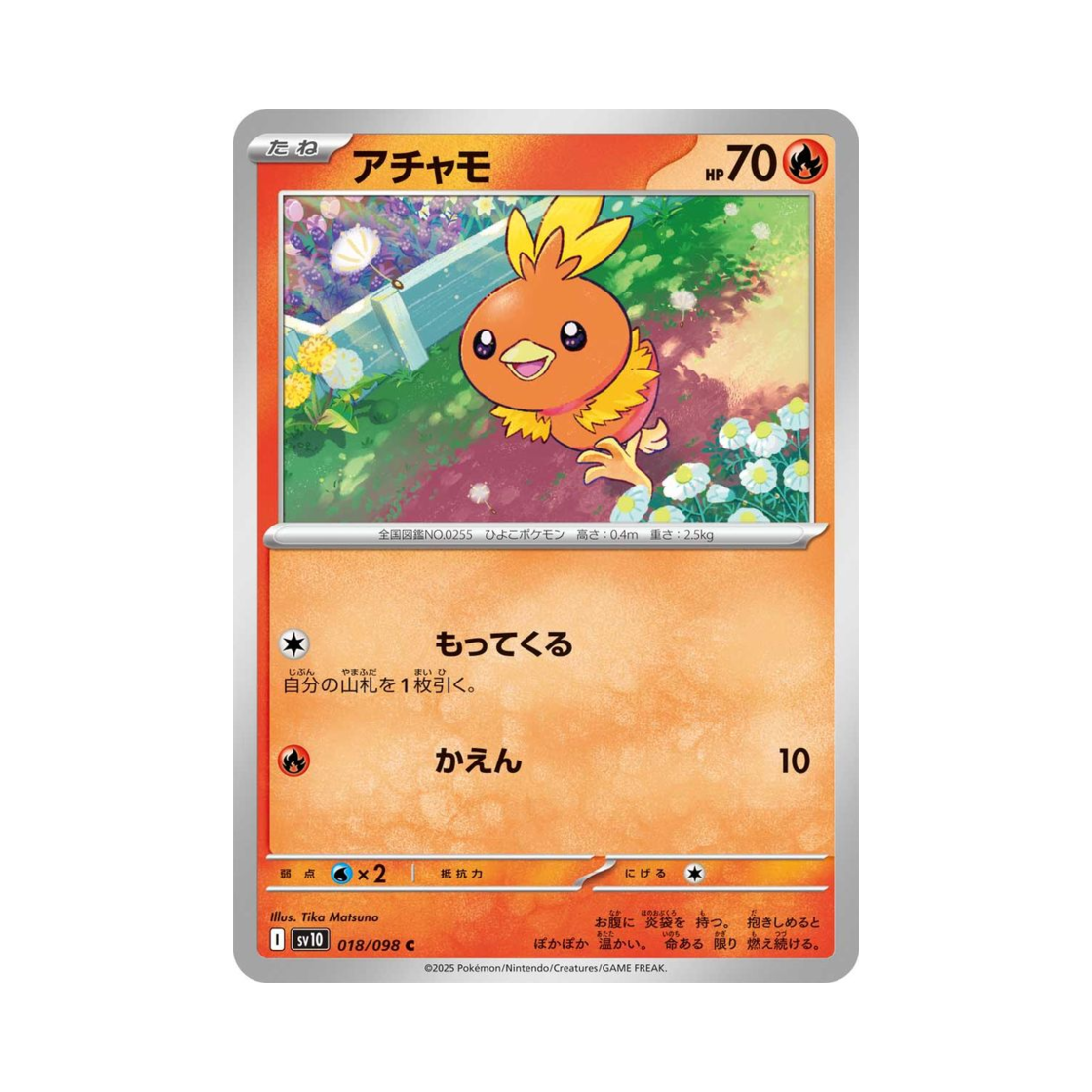 포켓몬 TCG 아차모 C 로켓단의 영광 (일어판)(Pokemon TCG Torchic C Glory of Team Rocket (Japanese Ver.)) - 1