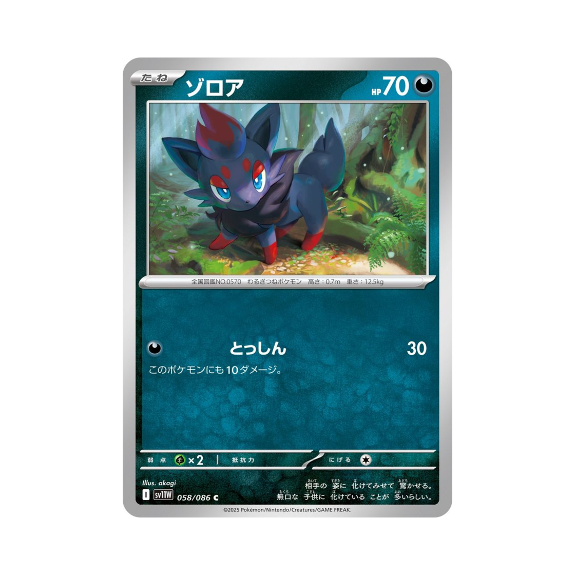 포켓몬 TCG 조로아 C 화이트 플레어 (일어판)(Pokemon TCG Zorua C White Flare (Japanese Ver.)) - 1