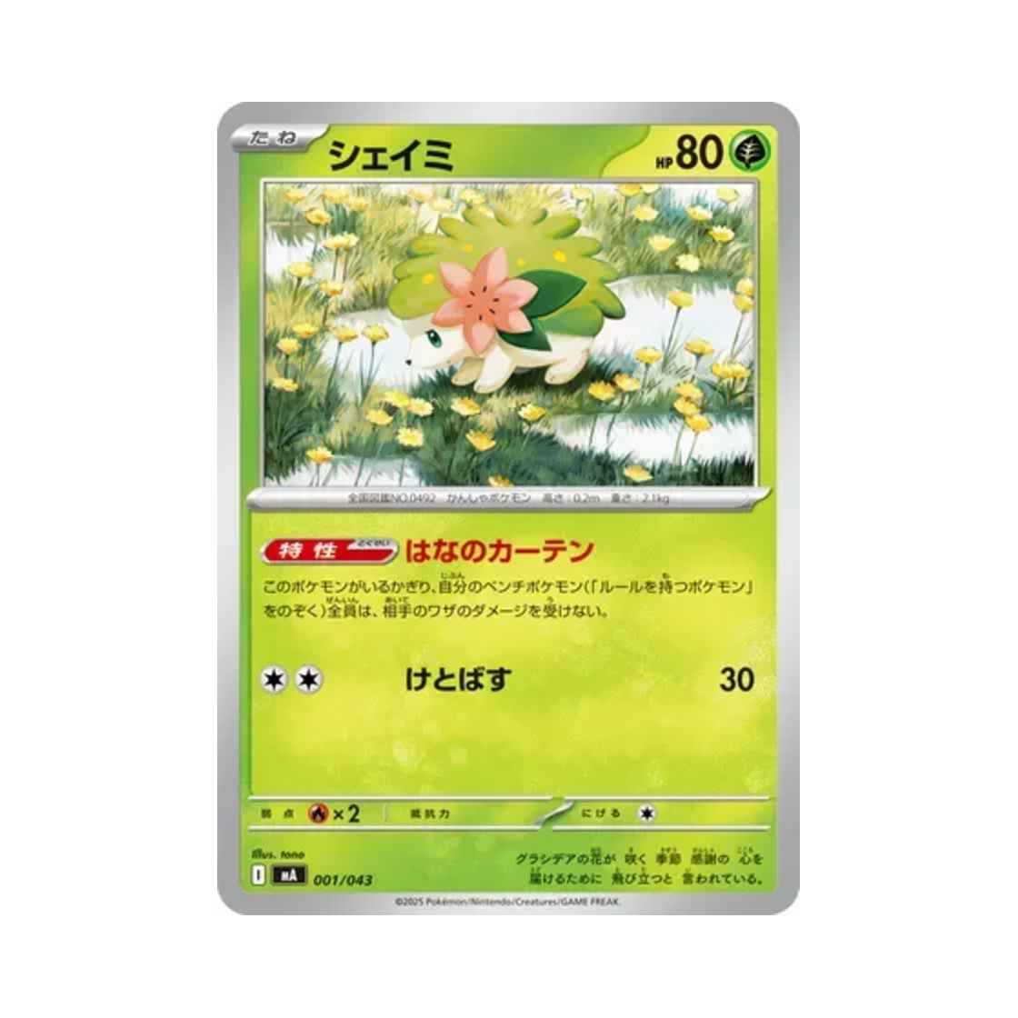 포켓몬 TCG 쉐이미 메가 프리미엄 트레이너 박스 (일어판)(Pokemon TCG Shaymin Mega Premium Trainer Box (Japanese Ver.)) - 1