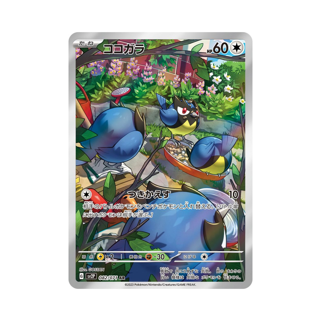 포켓몬 TCG 파라꼬 AR 스노해저드 (일어판)(Pokemon TCG Rookidee AR Snow Hazard (Japanese Ver.)) - 1