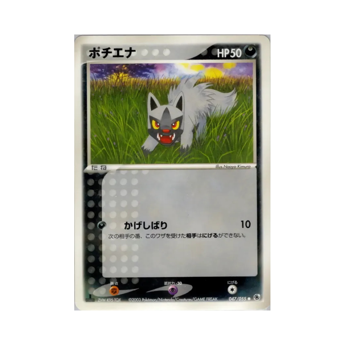 포켓몬 TCG 포챠나 C 어드벤스드 익스팬션 팩 (일어판)(Pokemon TCG Poochyena C Adv Expansion Pack (Japanese Ver.)) - 1