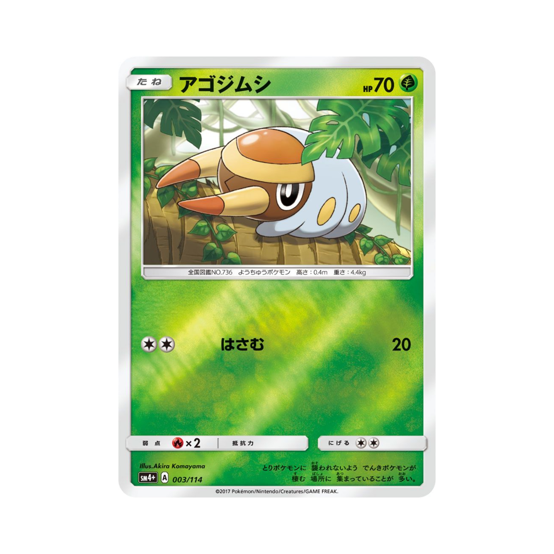 포켓몬 TCG 턱지충이 GX 배틀부스트 (일어판)(Pokemon TCG Grubbin Gx Battle Boost (Japanese Ver.)) - 1