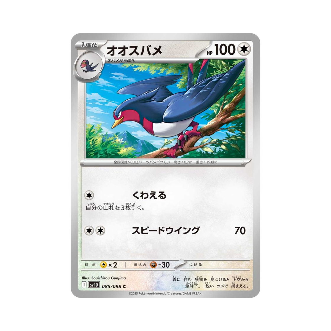 포켓몬 TCG 스왈로 C 로켓단의 영광 (일어판)(Pokemon TCG Swellow C Glory of Team Rocket (Japanese Ver.)) - 1