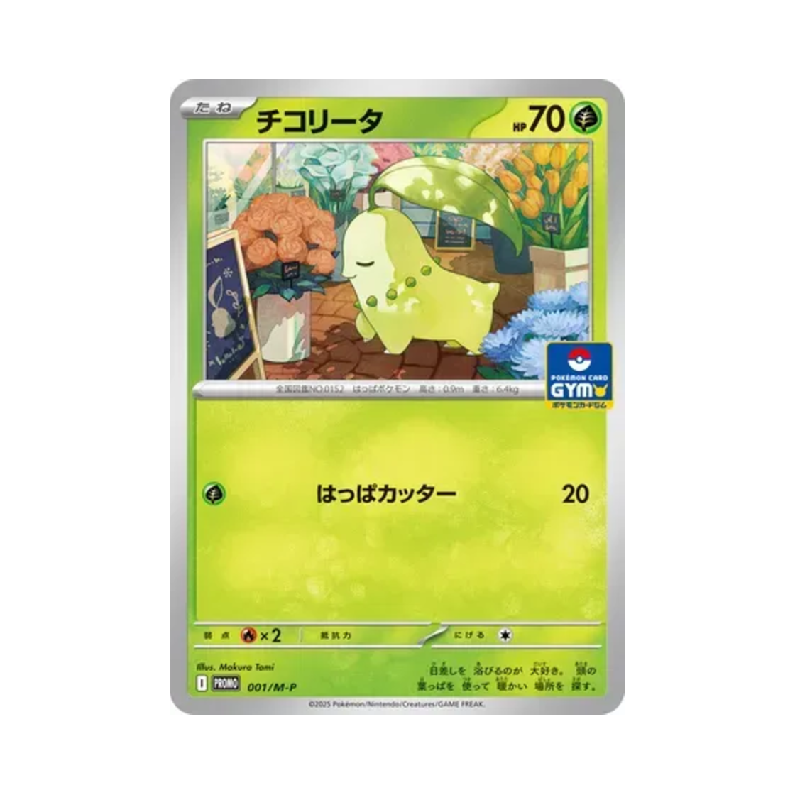 PROMO001-M-P Pokemon TCG Chikorita P Mega Evolution Promos (Japanese Ver.)