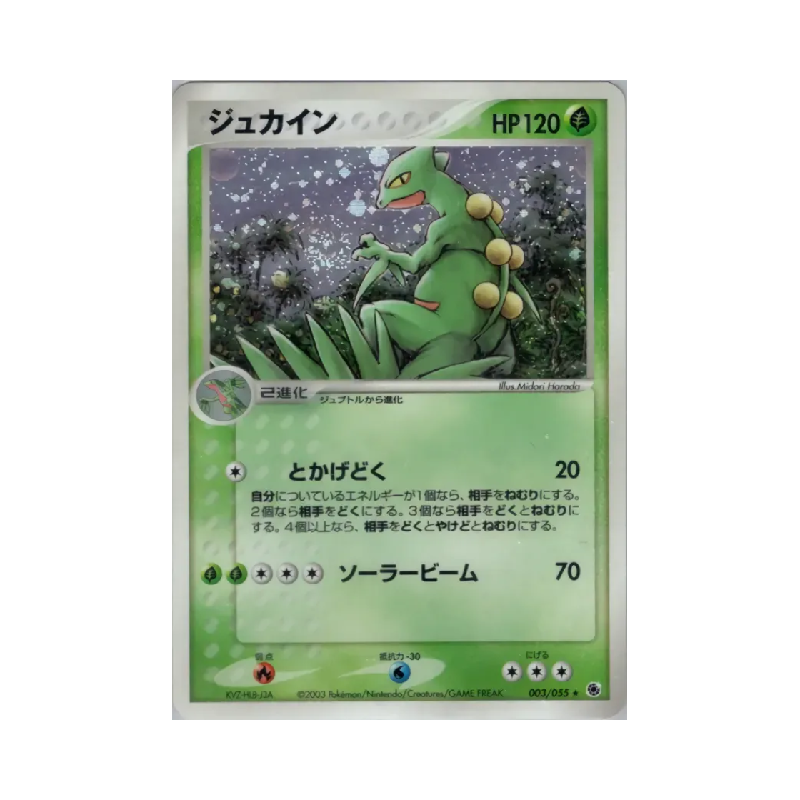 포켓몬 TCG 나무킹 R 어드벤스드 익스팬션 팩 (일어판)(Pokemon TCG Sceptile R Adv Expansion Pack (Japanese Ver.)) - 1