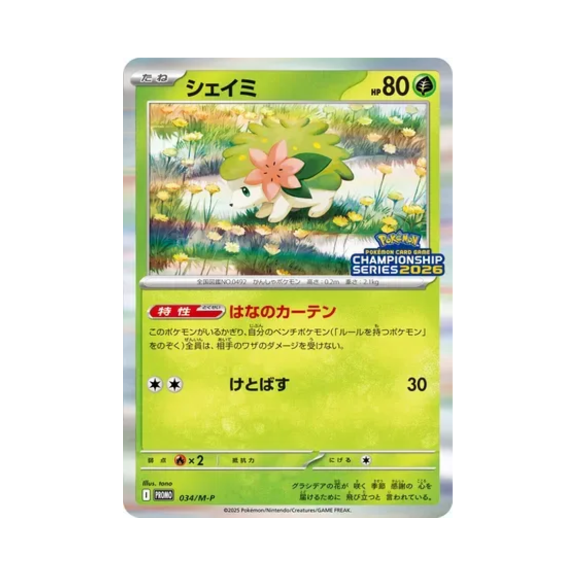 PROMO034-M-P Pokemon TCG Shaymin P Mega Evolution Promos (Japanese Ver.)