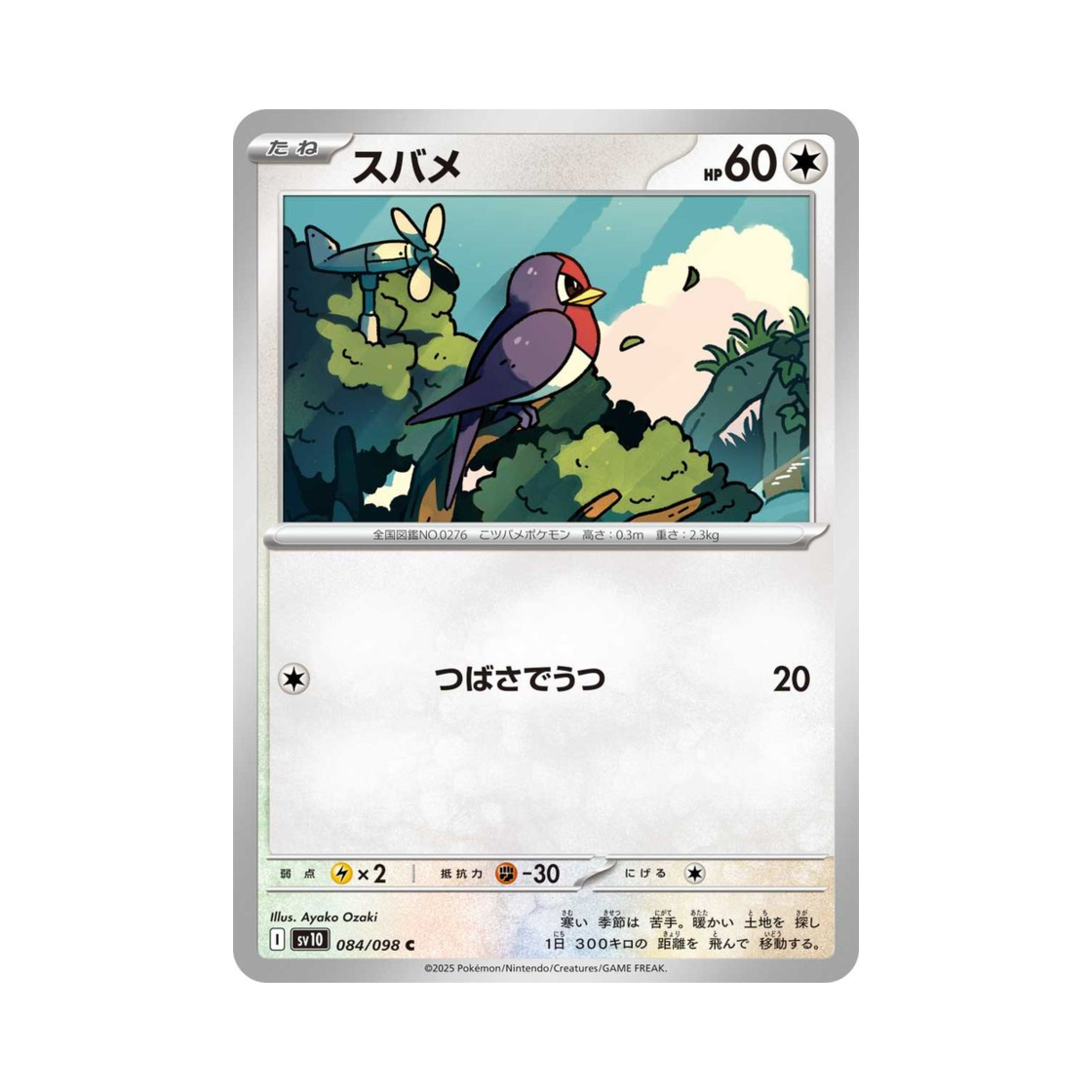 포켓몬 TCG 테일로 C 로켓단의 영광 (일어판)(Pokemon TCG Taillow C Glory of Team Rocket (Japanese Ver.)) - 1