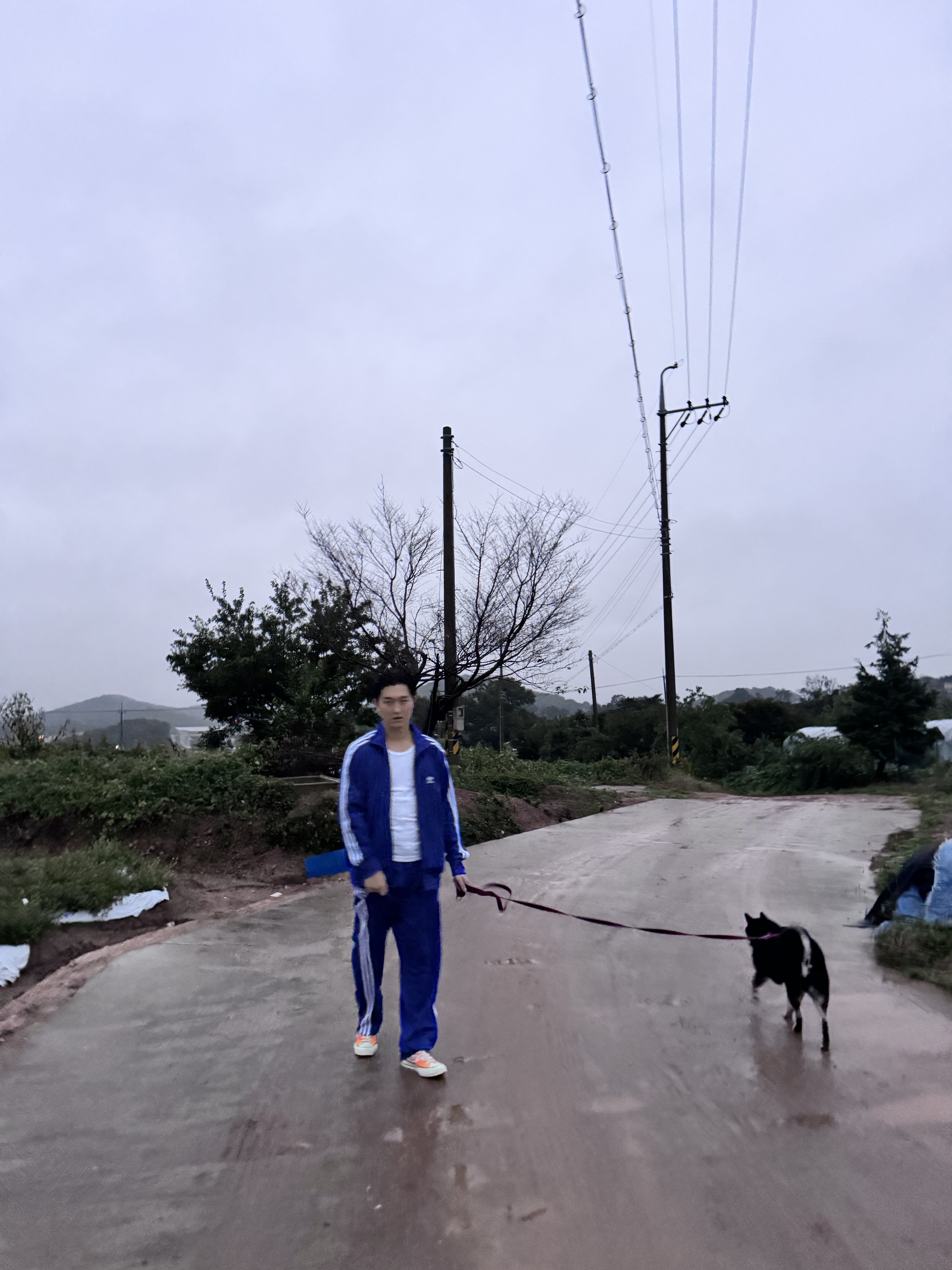 Adidas Adicolor Classics Firebird Track Top Black - KR Sizing, Adidas Adicolor Classics Firebird Track Tracksuit Bottoms Semi Lucid Blue - KR Sizing 착용 스타일 - 9