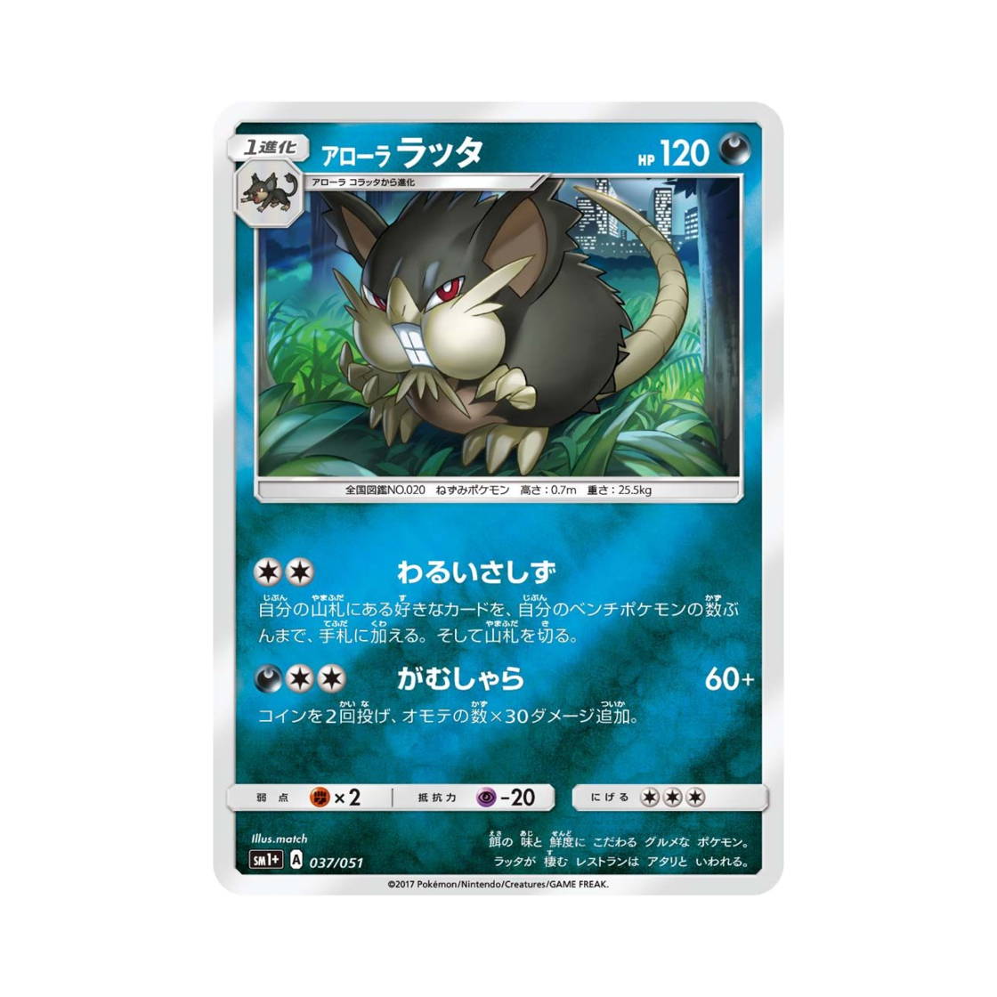 포켓몬 TCG 알로라 레트라 썬&문 (일어판)(Pokemon TCG Alolan Raticate Sun Moon Strengthening Pack (Japanese Ver.)) - 1