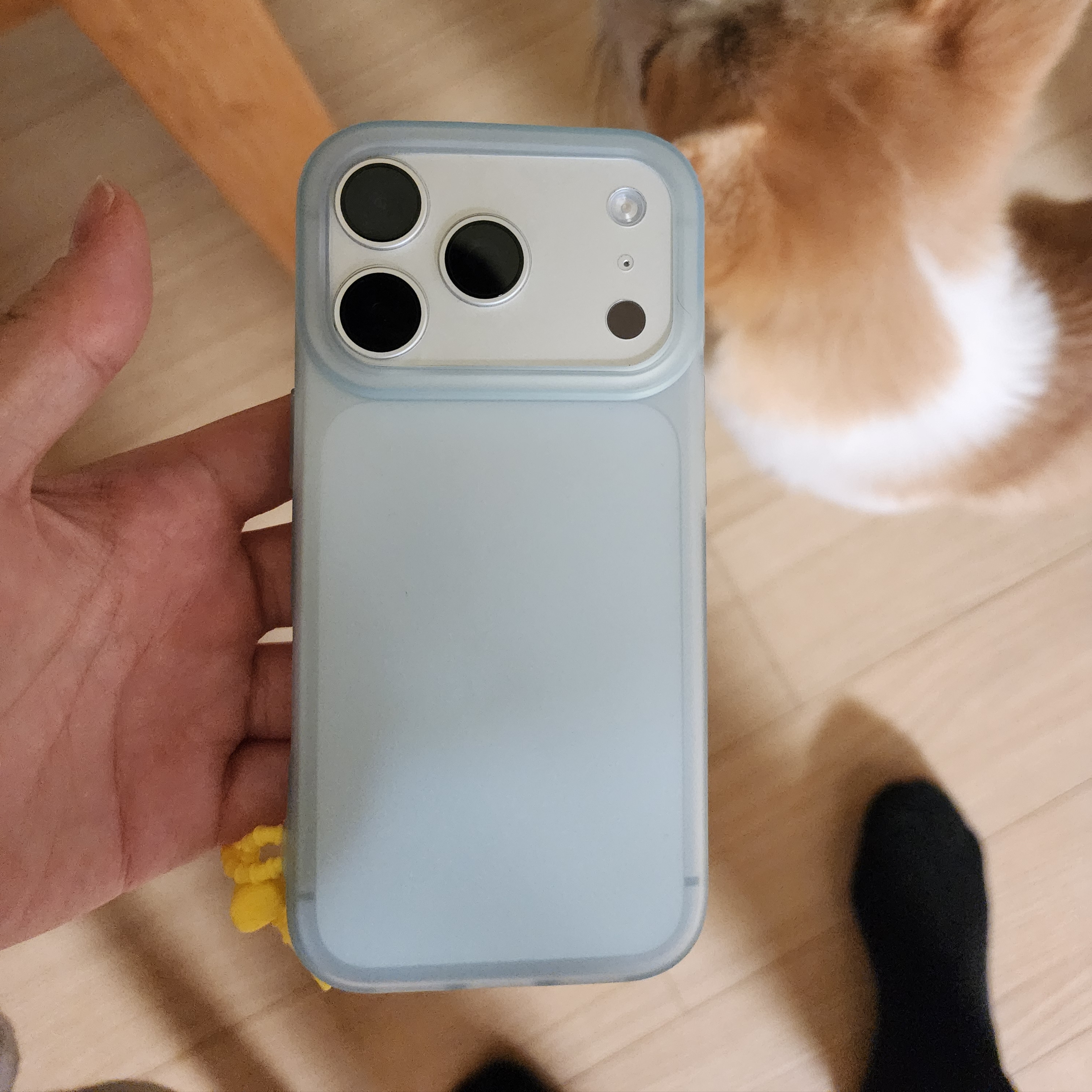 Apple iPhone 17 Pro 256GB Silver 착용 스타일