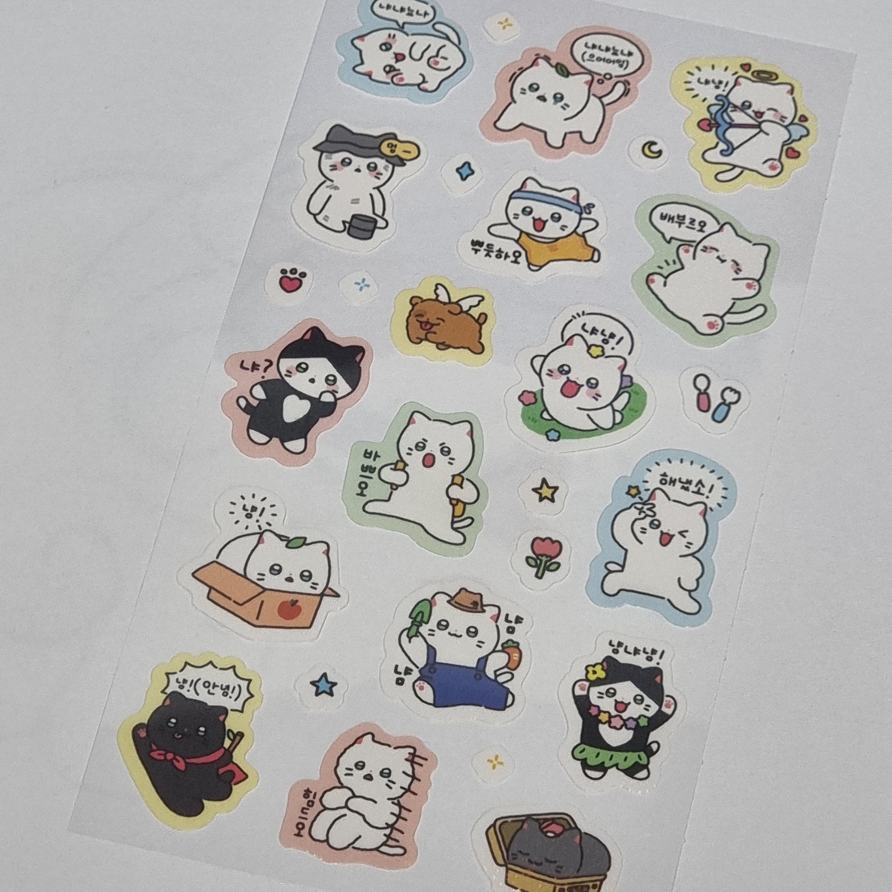 Meow Man Giyomi Hologram Sticker Yellow 착용 스타일
