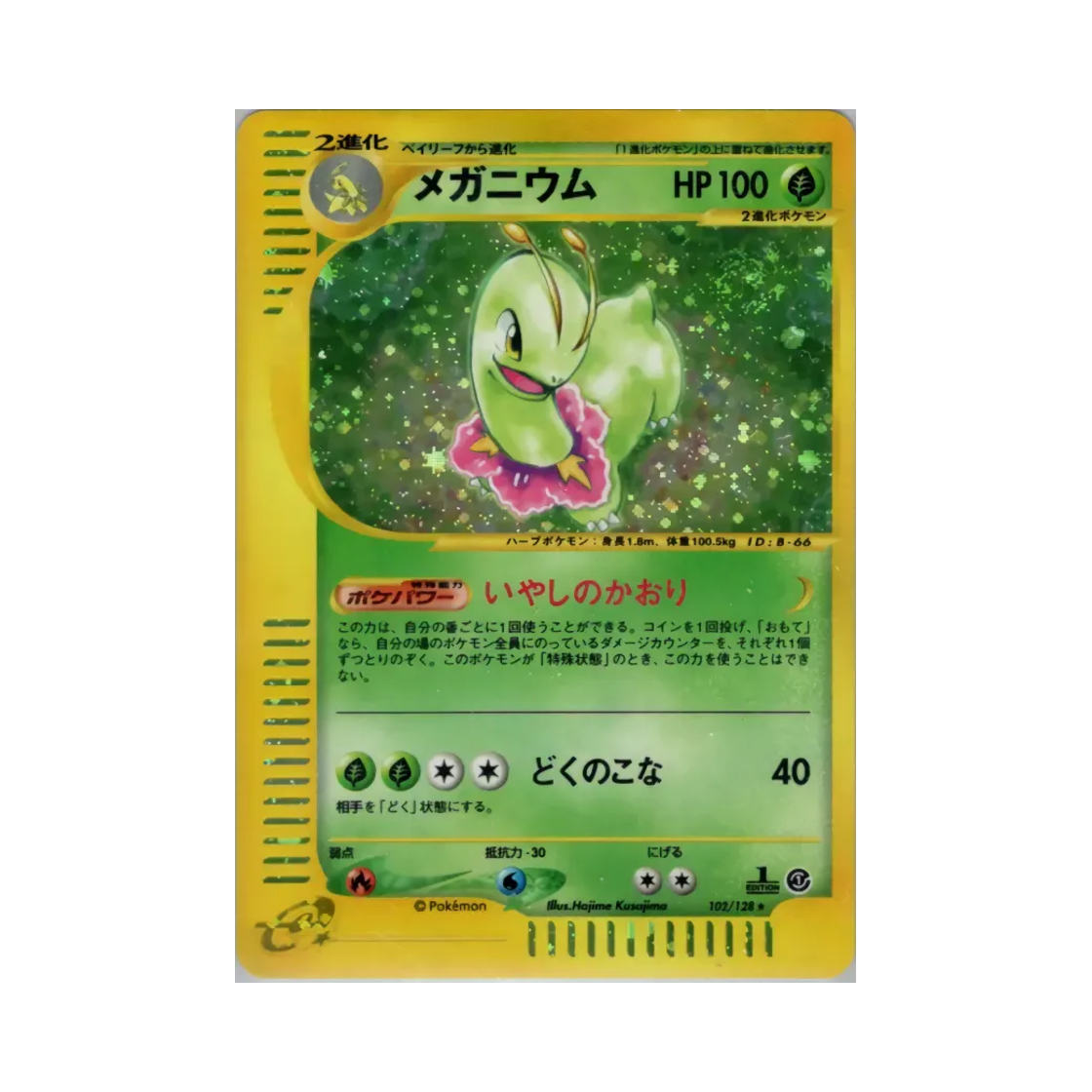 포켓몬 TCG 메가니움 R 베이스 익스펜션 팩 (일어판)(Pokemon TCG Meganium R Base Expansion Pack (Japanese Ver.)) - 1