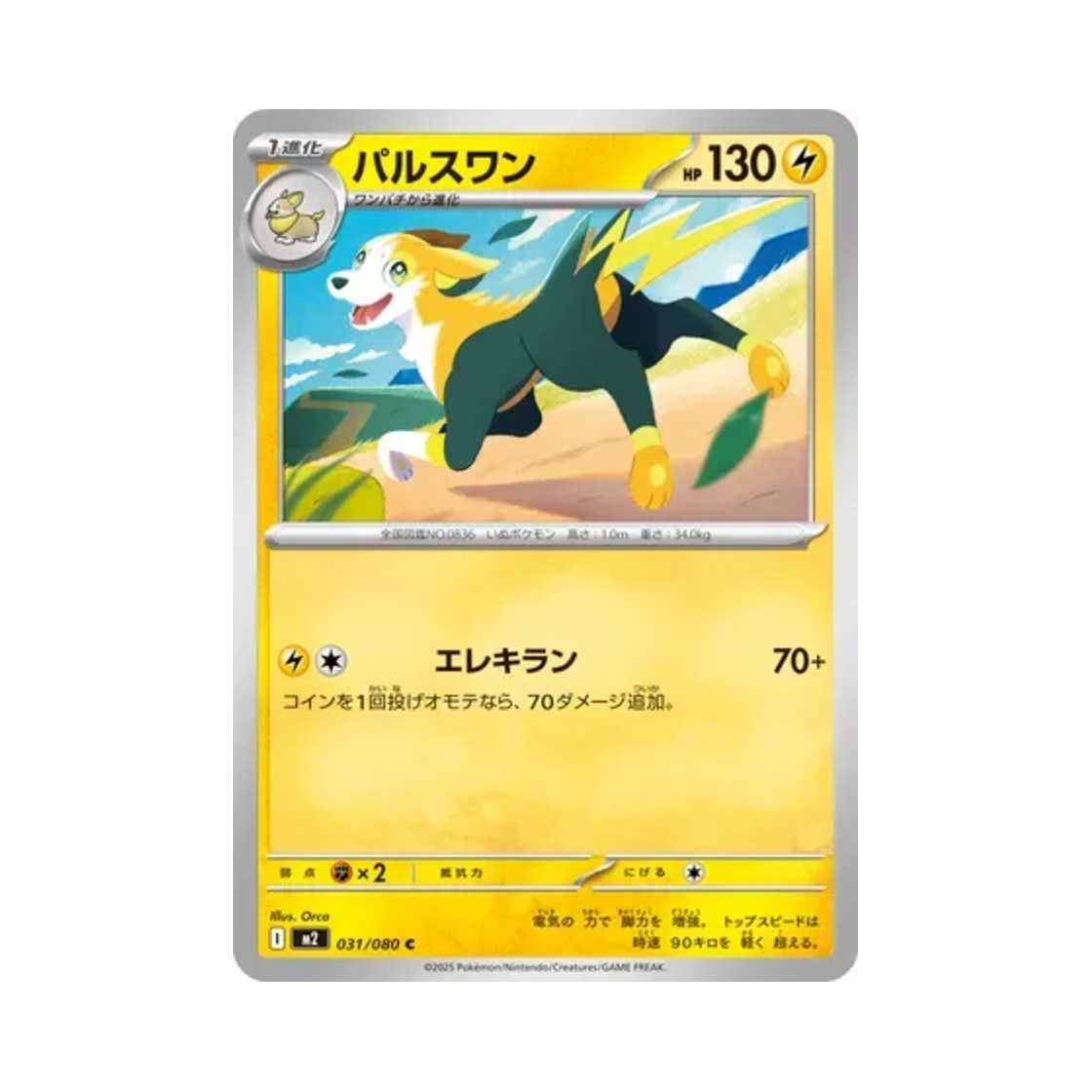 포켓몬 TCG 펄스멍 C 인페르노 X (일어판)(Pokemon TCG Boltund C Inferno X (Japanese Ver.)) - 1