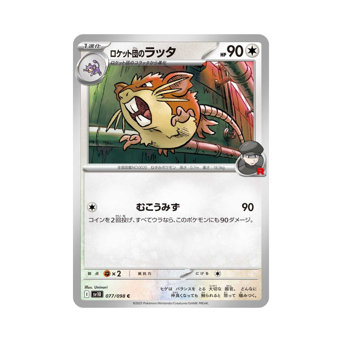 포켓몬 TCG 로켓단의 레트라 C 로켓단의 영광 (일어판)(Pokemon TCG Team Rocket's Raticate C Glory of Team Rocket (Japanese Ver.)) - 1