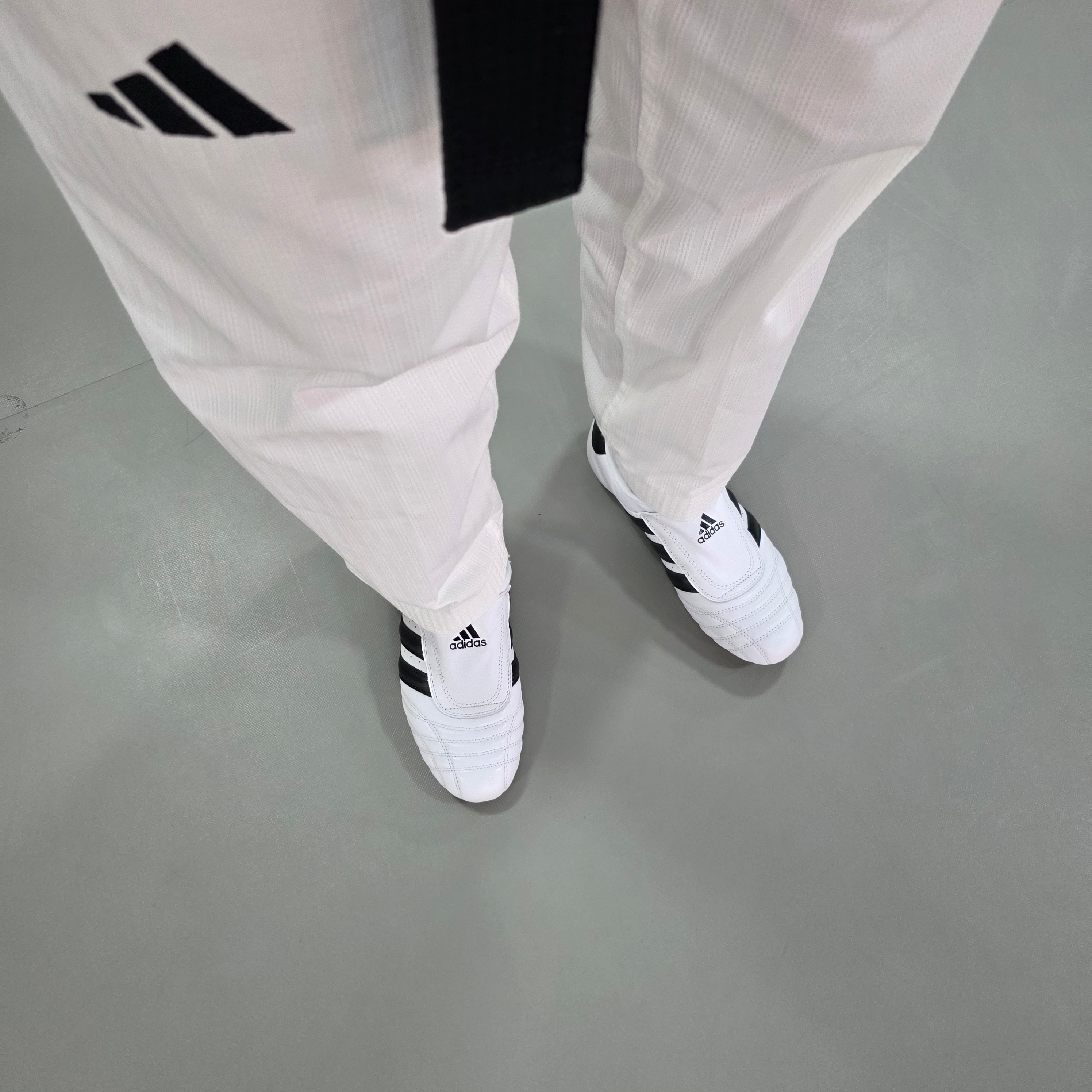 (W) Adidas Taekwondo Cloud White Core Black 착용 스타일