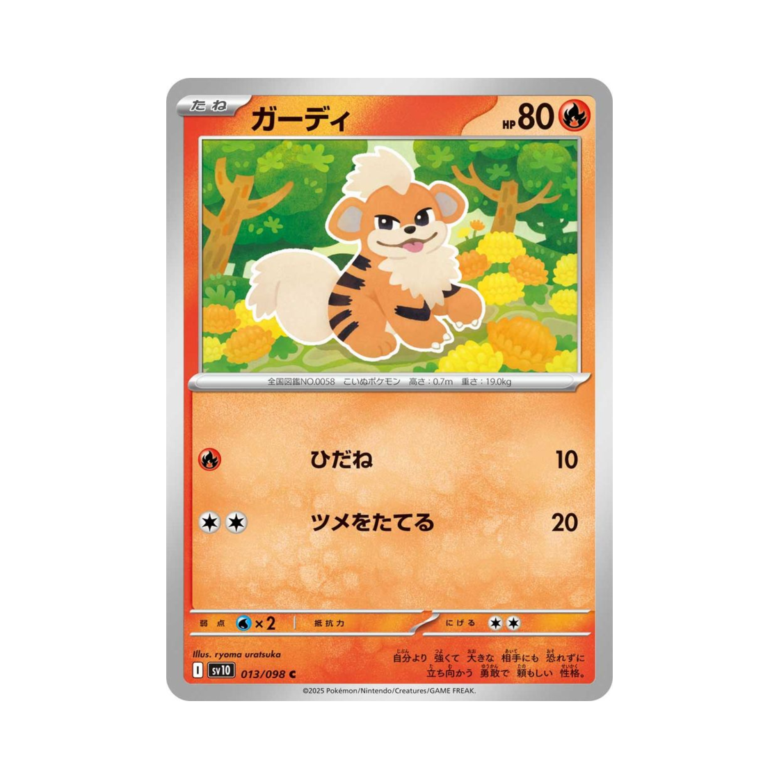 포켓몬 TCG 가디 C 로켓단의 영광 (일어판)(Pokemon TCG Growlithe C Glory of Team Rocket (Japanese Ver.)) - 1
