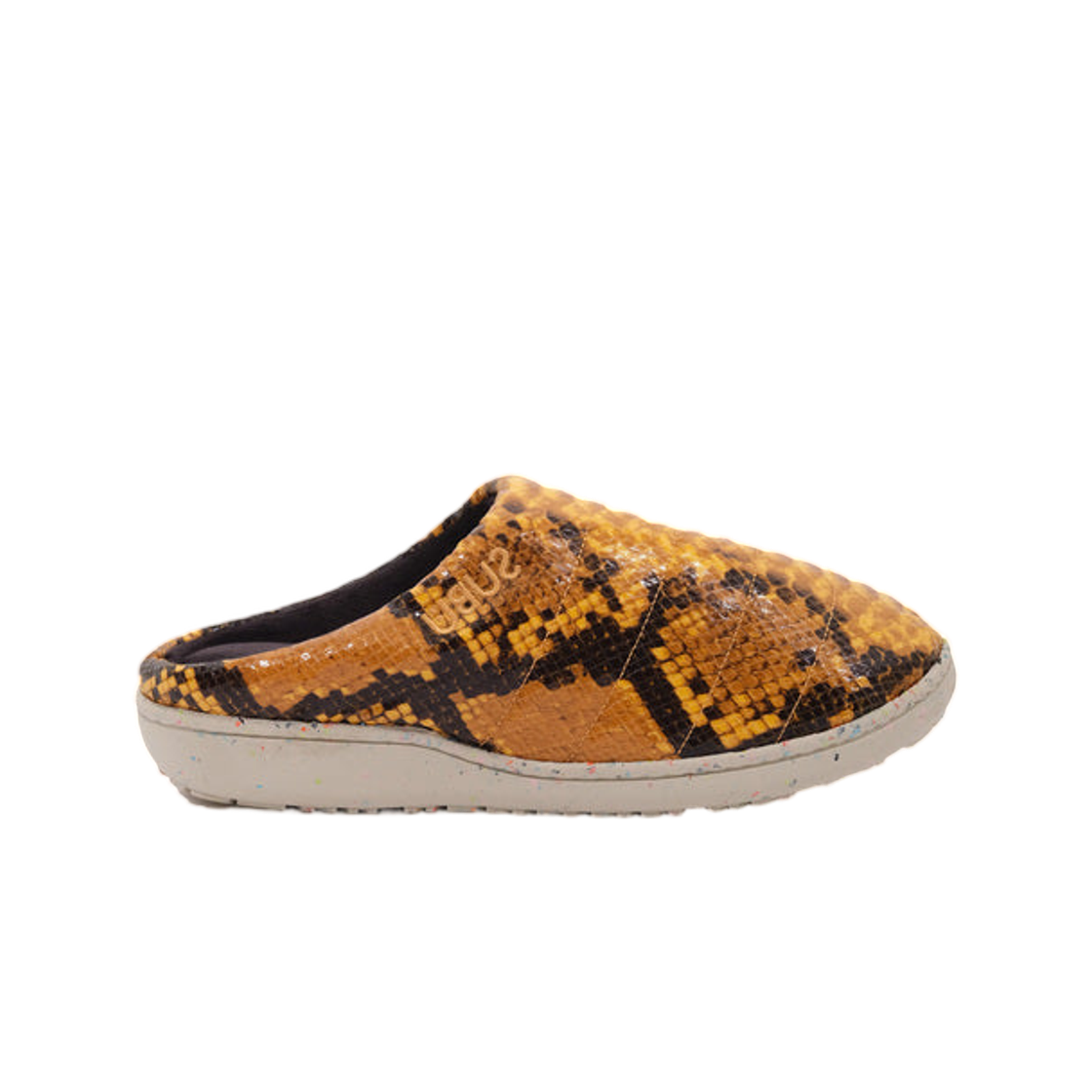 스부 리: 파이썬 오렌지(Subu Re: Python Orange) - 1