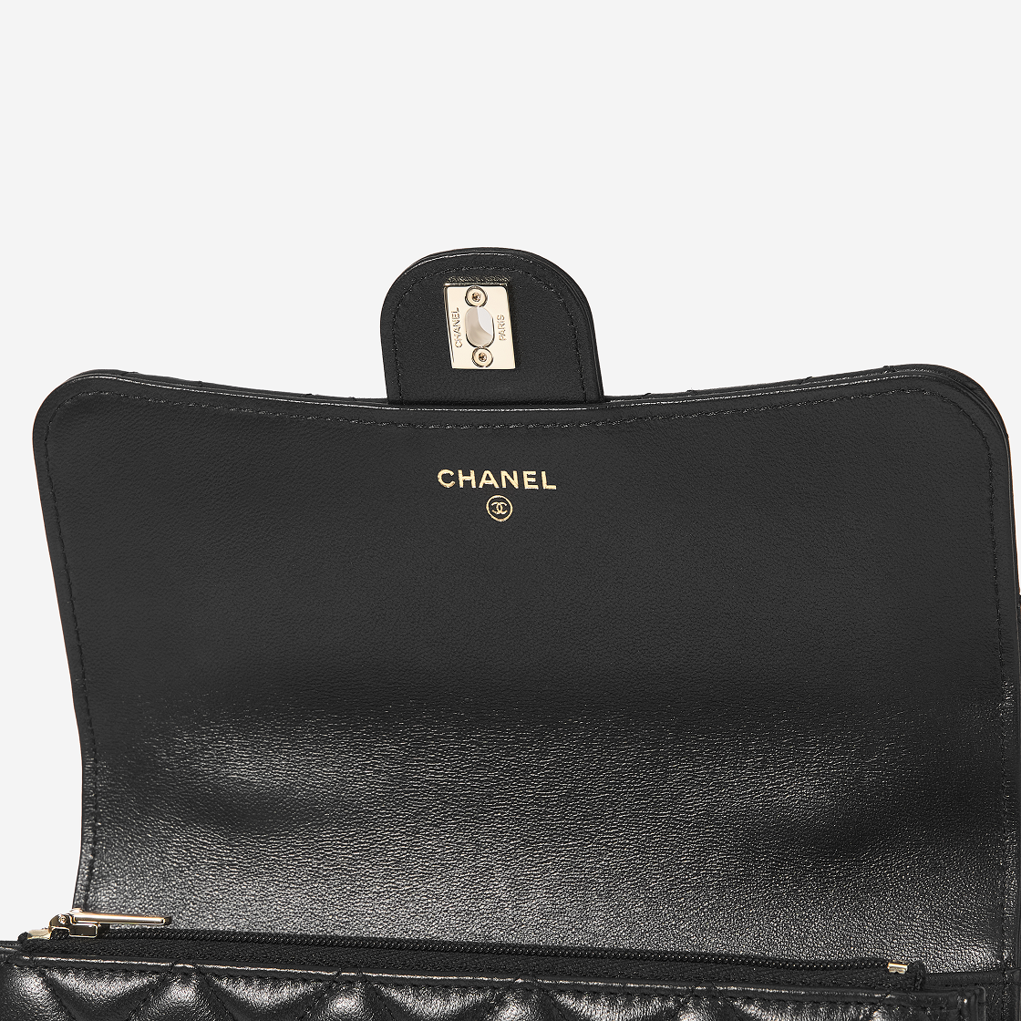 샤넬 스몰 백팩 램스킨 & 골드 메탈 블랙(Chanel Small Backpack Lambskin & Gold Black) - 6