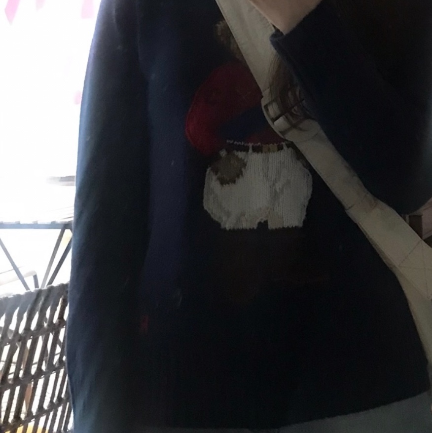 [20% 적립] Polo Ralph Lauren Polo Bear Cotton Sweater Freshwater Tahiti Bear - 25SS 착용 스타일