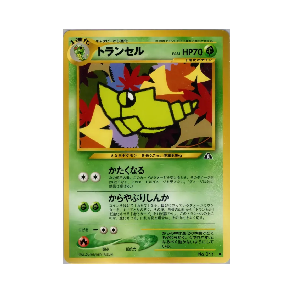 포켓몬 TCG 단데기 U 크로싱 더 루인... (일어판)(Pokemon TCG Metapod U Crossing The Ruins... (Japanese Ver.)) - 1