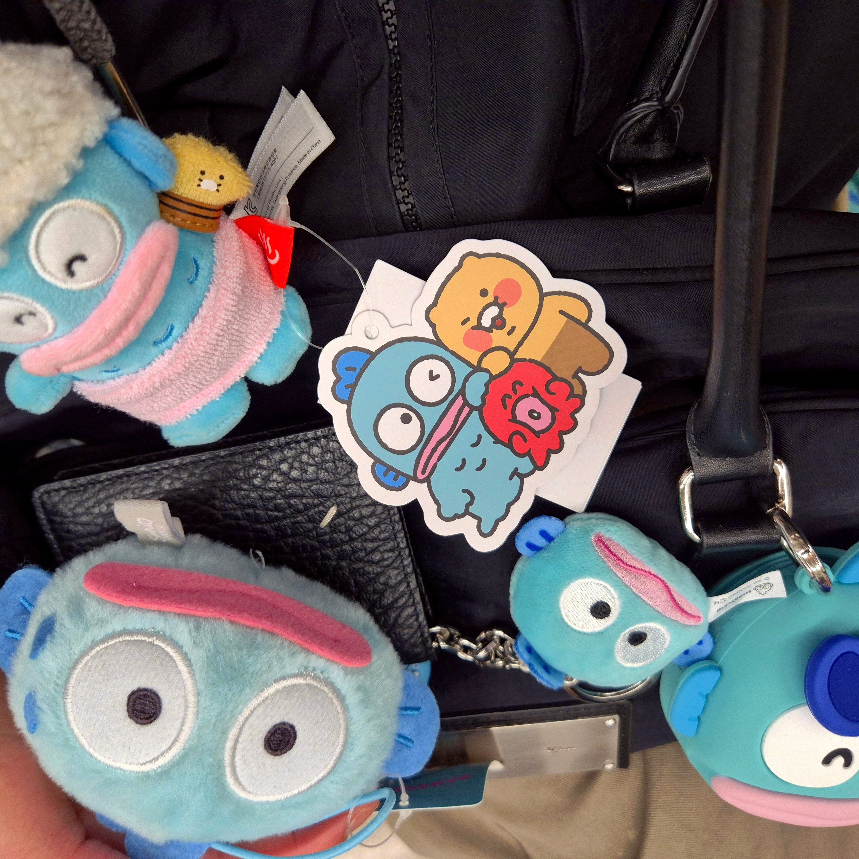 Hangyodon x Kakao Friends Keyring Hangyodon, Sanrio x Ediya Multi Pouch Hangyodon 착용 스타일 - 2