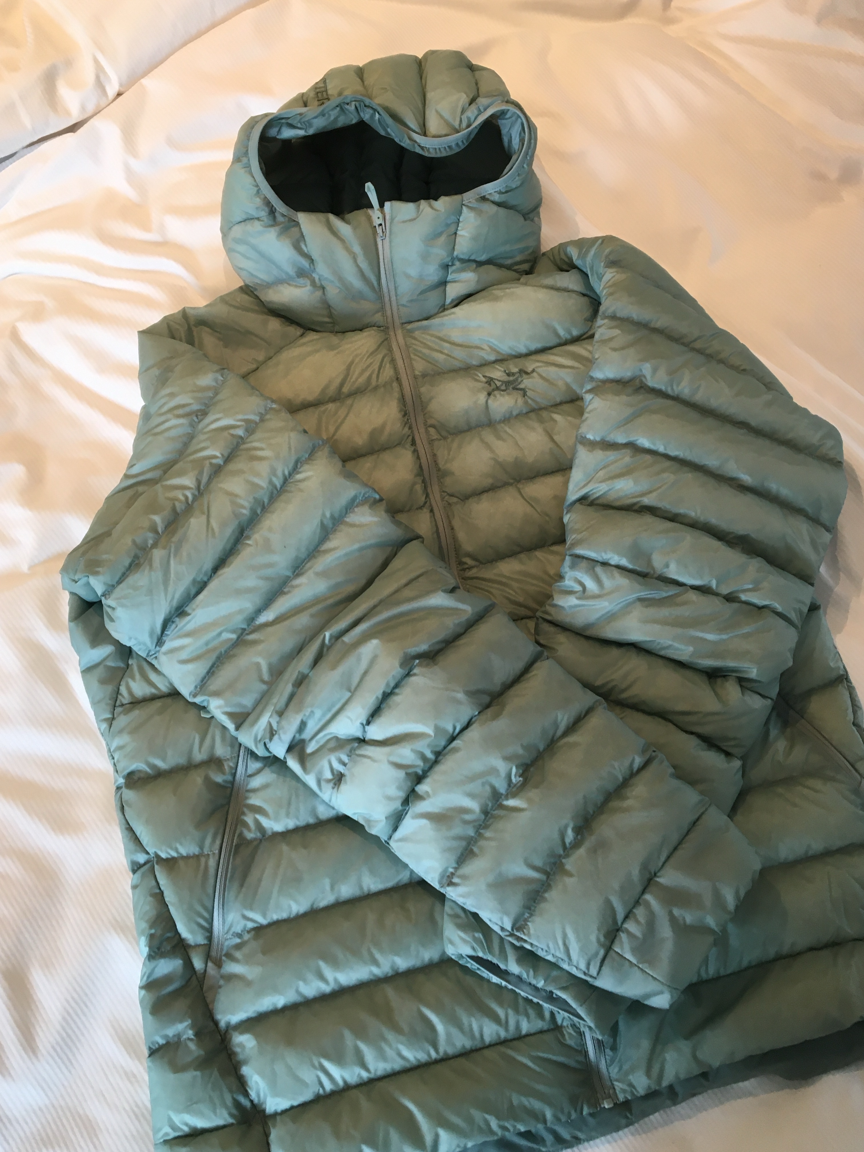 Arc'teryx Cerium Hoody Stone Green 착용 스타일 - 1