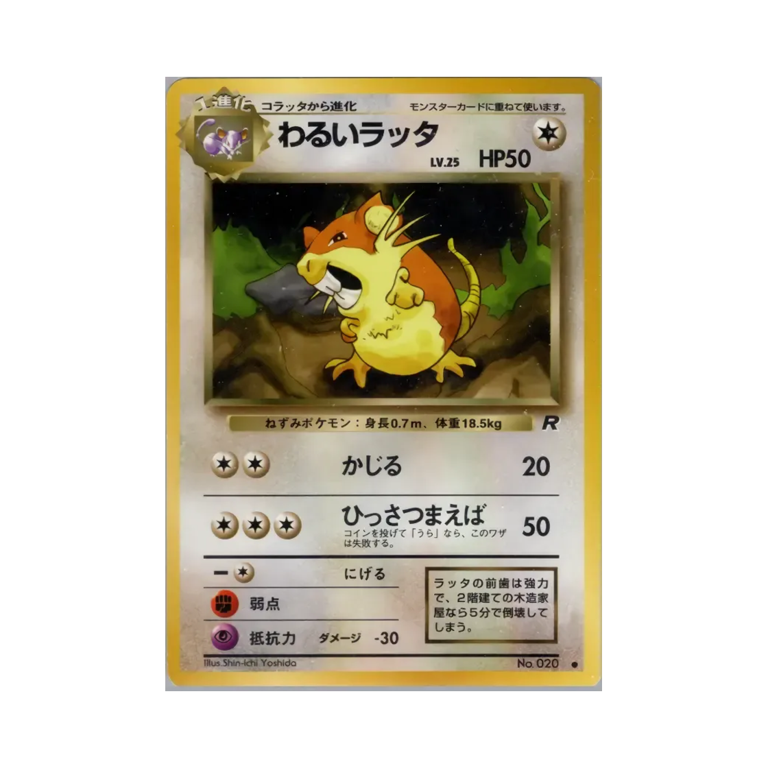 NO020 Pokemon TCG Dark Raticate C Team Rocket (Japanese Ver.)
