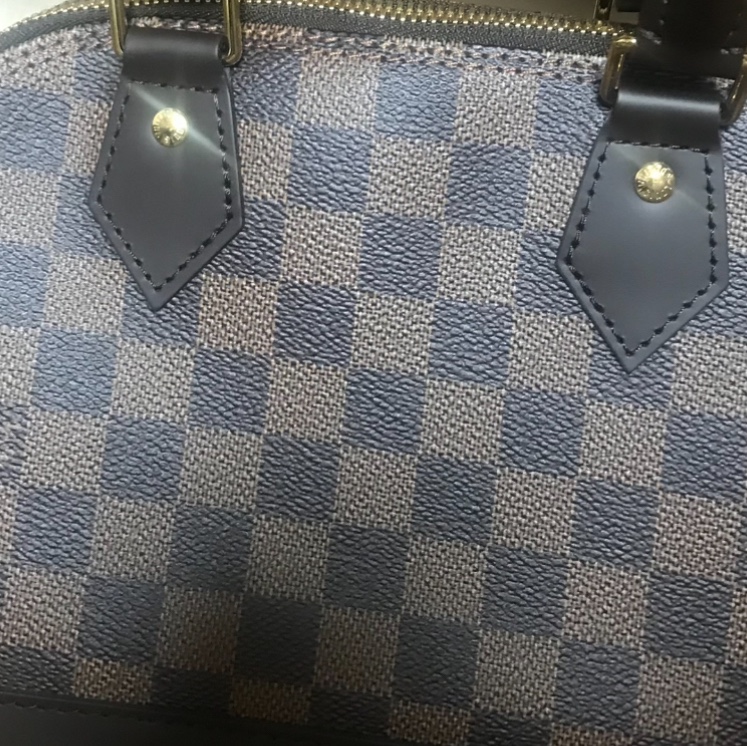 Louis Vuitton Alma BB Damier Ebene 착용 스타일