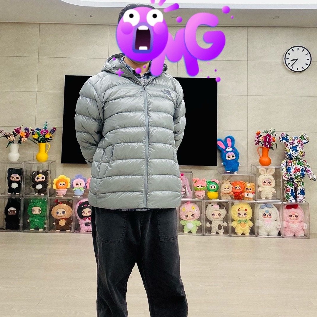The North Face Matier EX RDS Down Hoodie Light Gray - 25FW 착용 스타일
