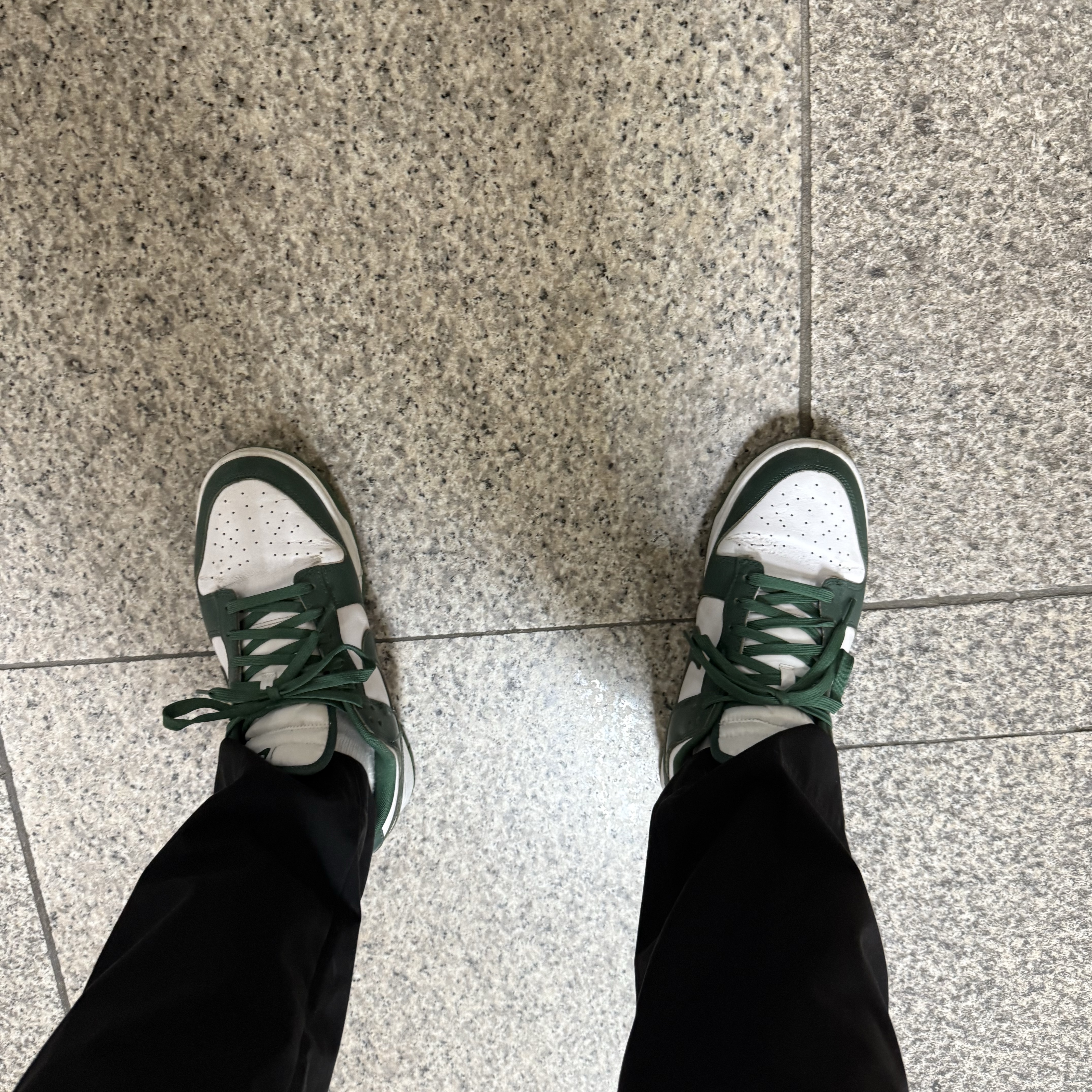 Nike Dunk Low Retro Varsity Green 착용 스타일