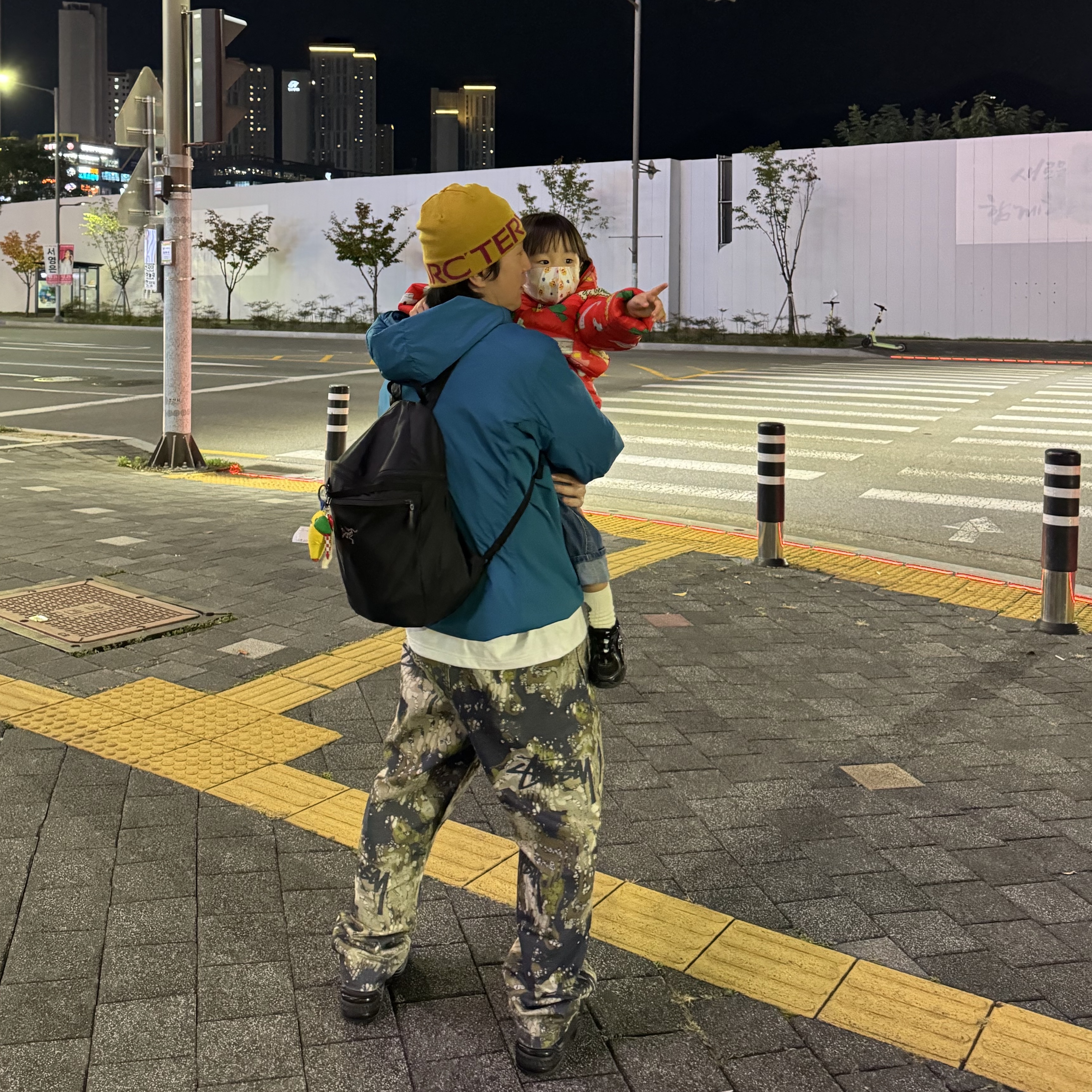 Stussy Veil Camo Beach Pants Terranea, Nike x Stussy Air Penny II Black 착용 스타일 - 2