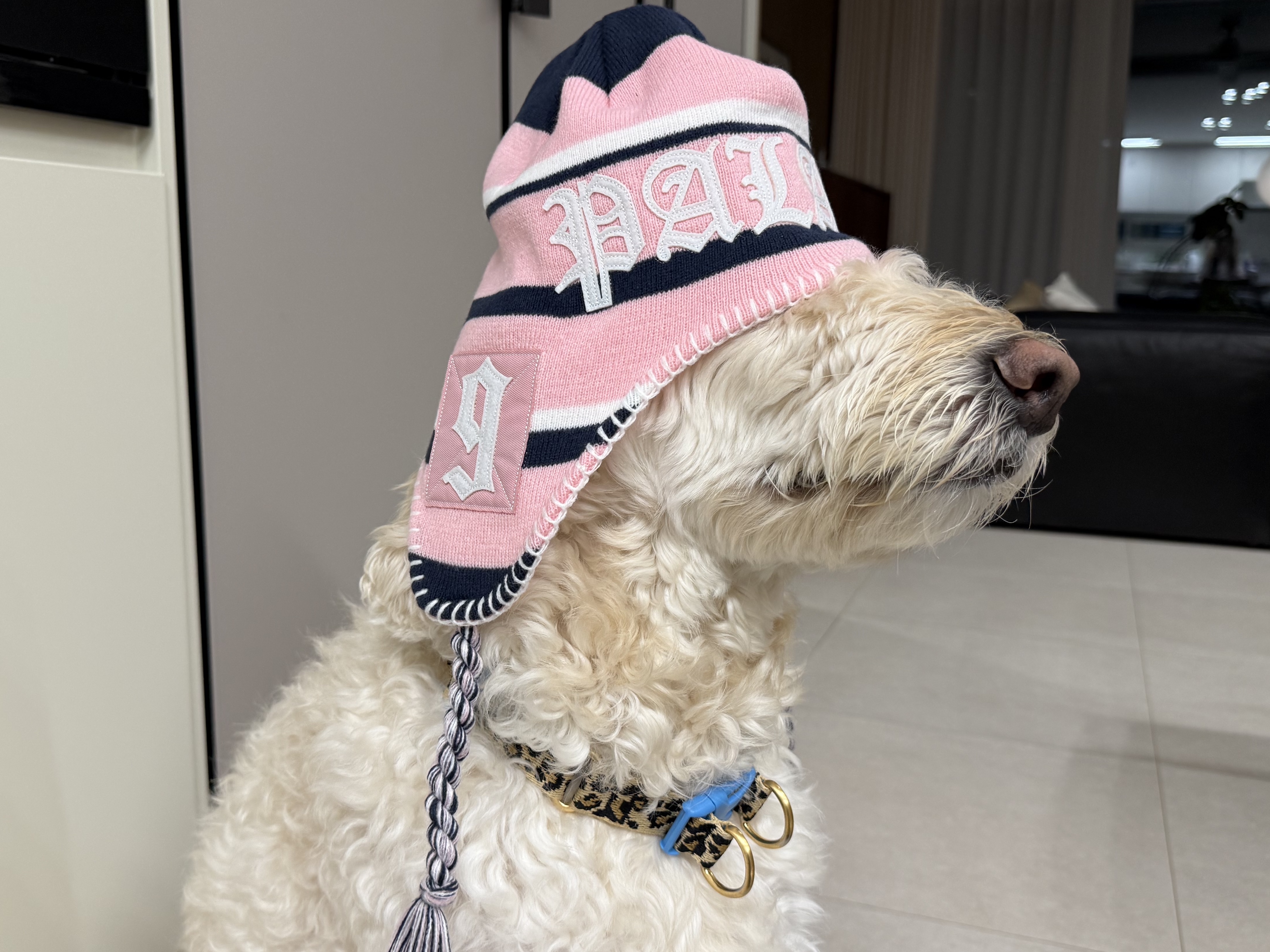 μμ
μ΄λ―Έμ§