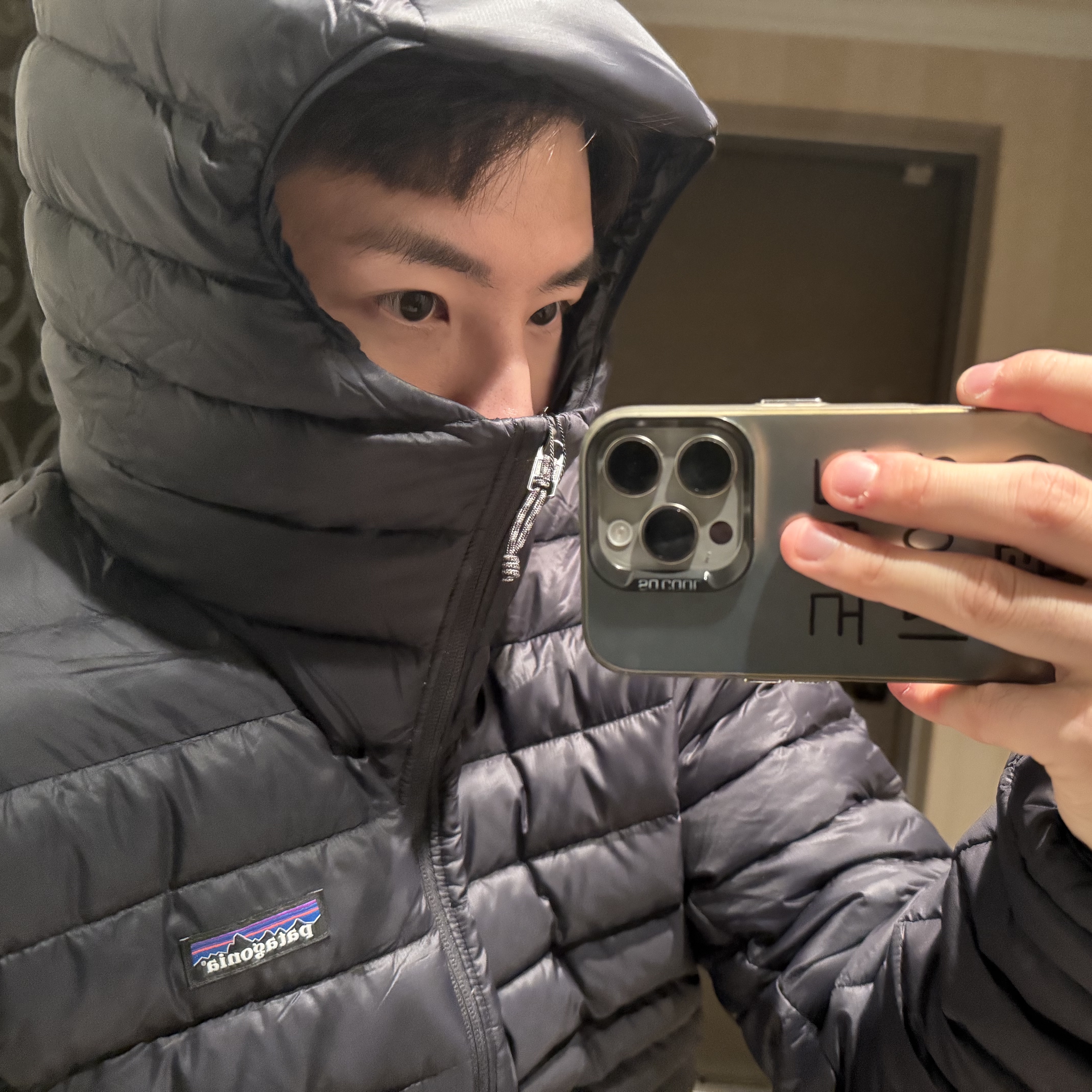 Patagonia Down Sweater Hoody Black 착용 스타일 - 2