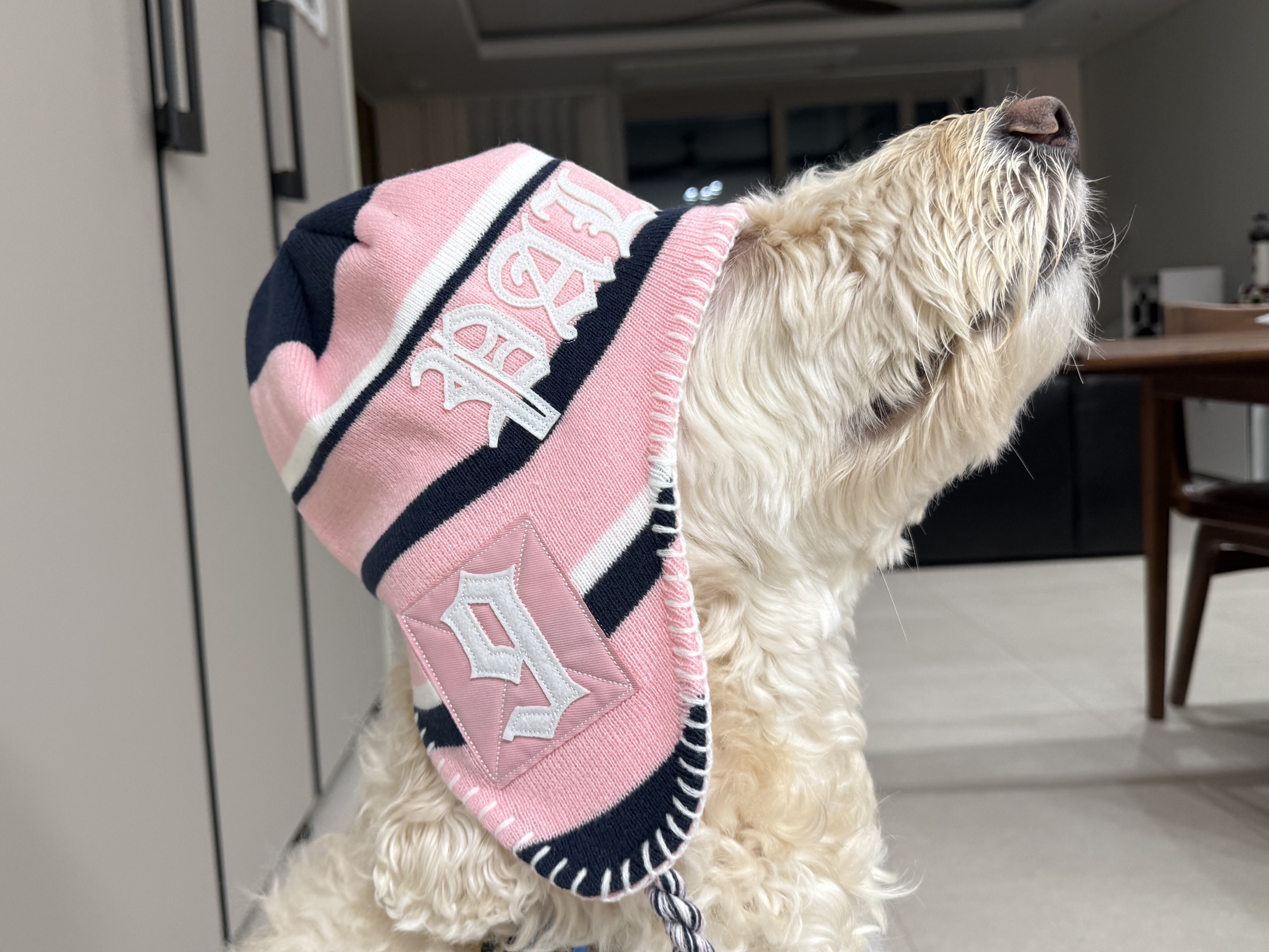 μμ
μ΄λ―Έμ§