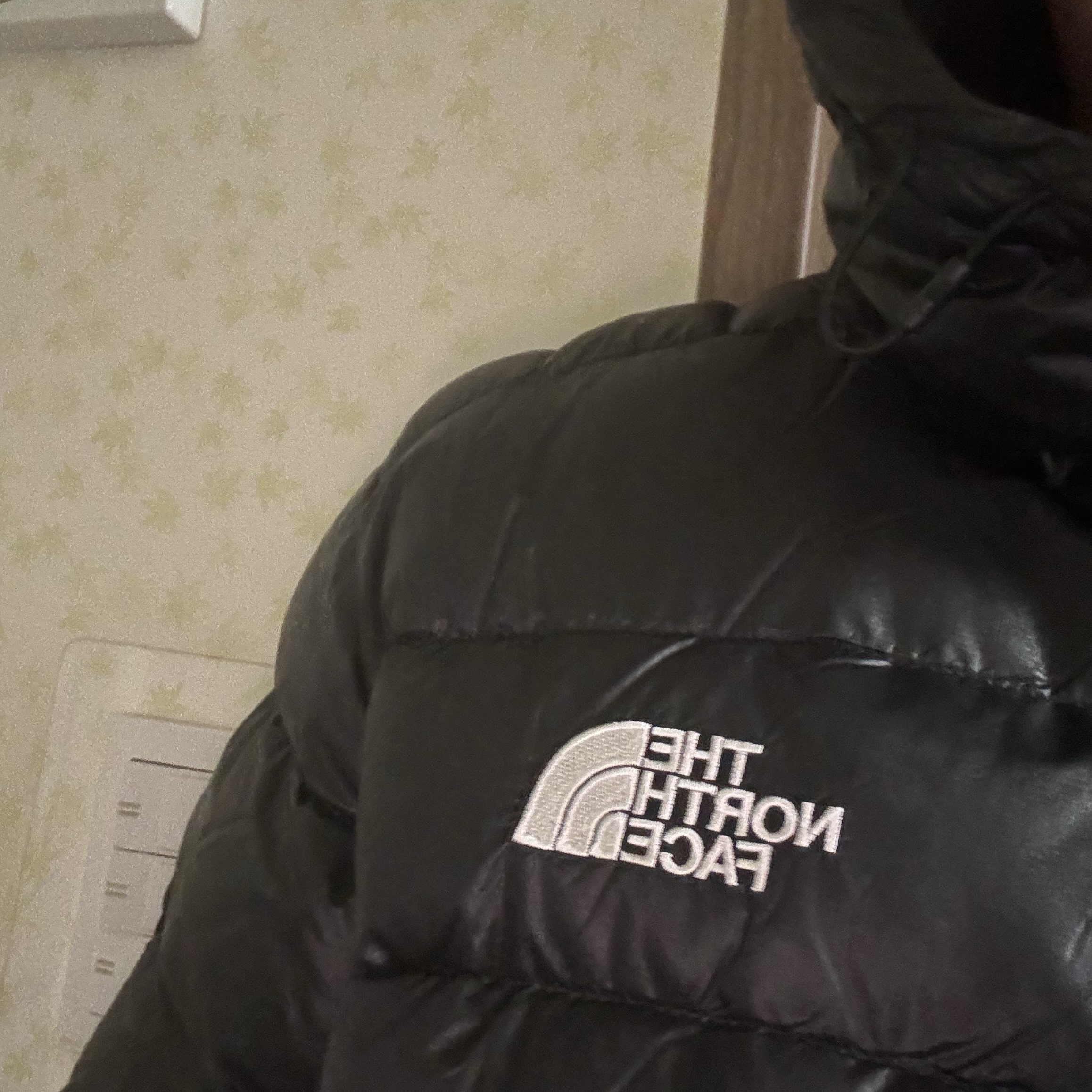 The North Face Matier EX RDS Down Hoodie Black 착용 스타일