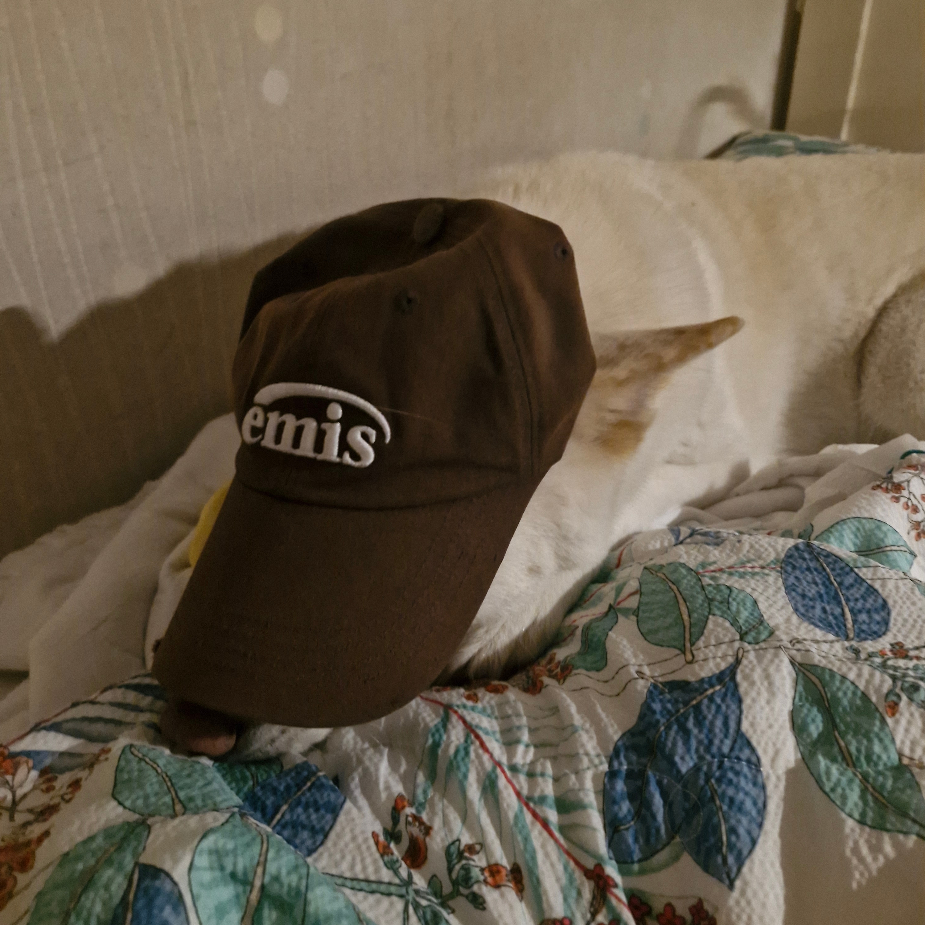 Emis New Logo Emis Cap Brown 착용 스타일