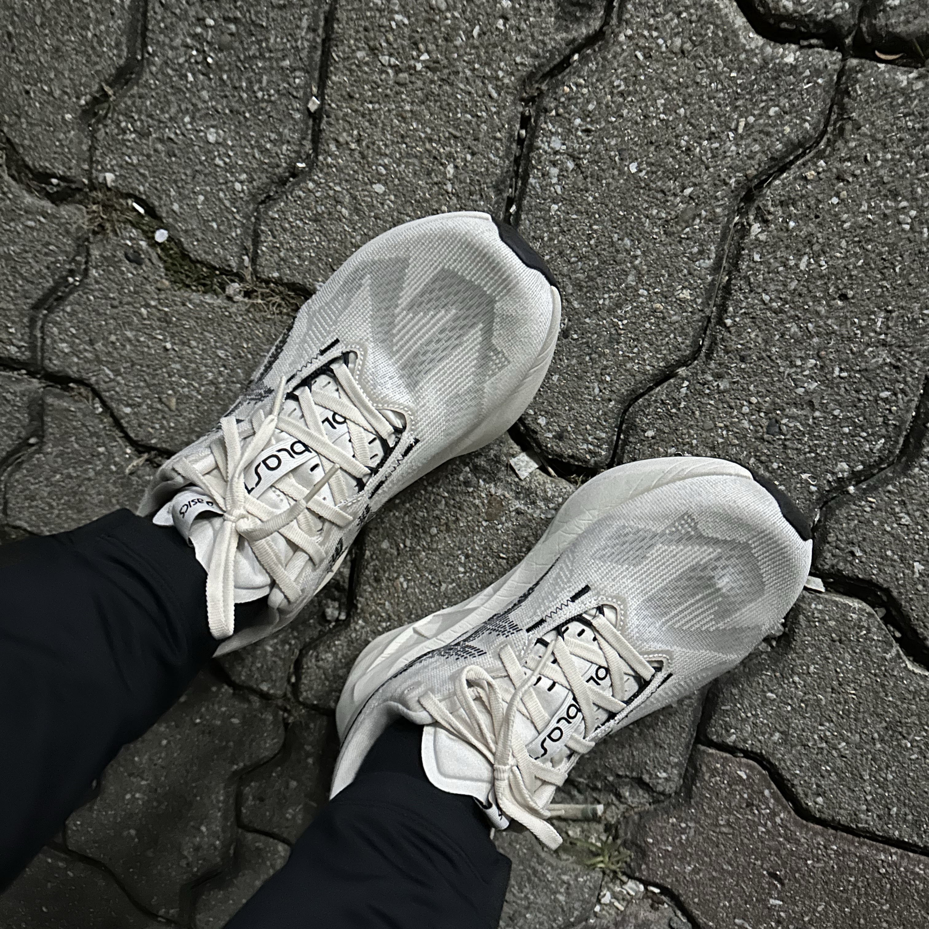 Asics Novablast 5 Oatmeal Black - D Standard 착용 스타일
