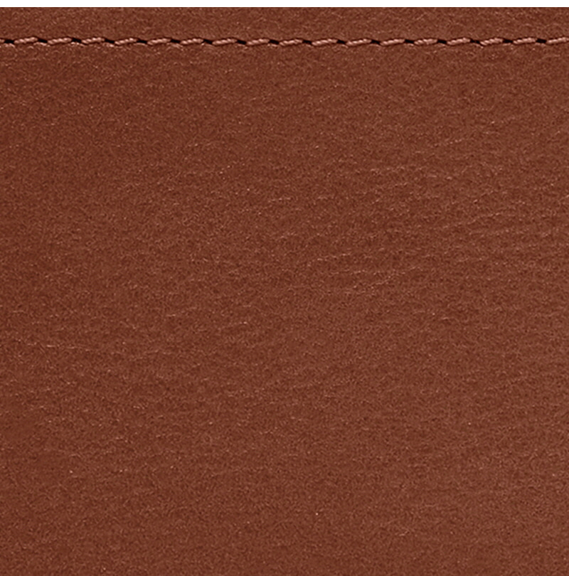 파슬 로건 RFID 미니 멀티펑션 브라운(Fossil Logan RFID Mini Multifunction Brown) - 2