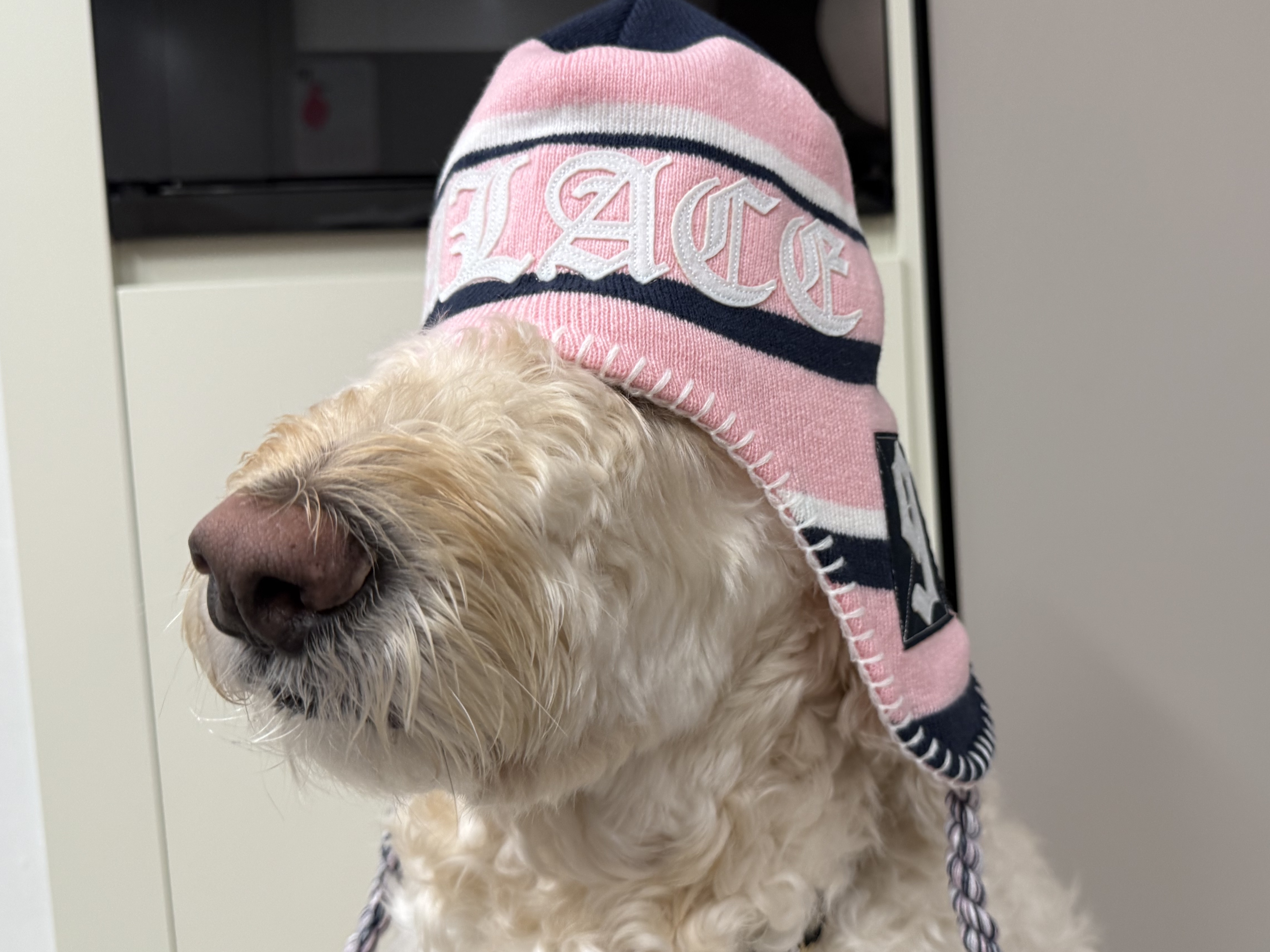 μμ
μ΄λ―Έμ§